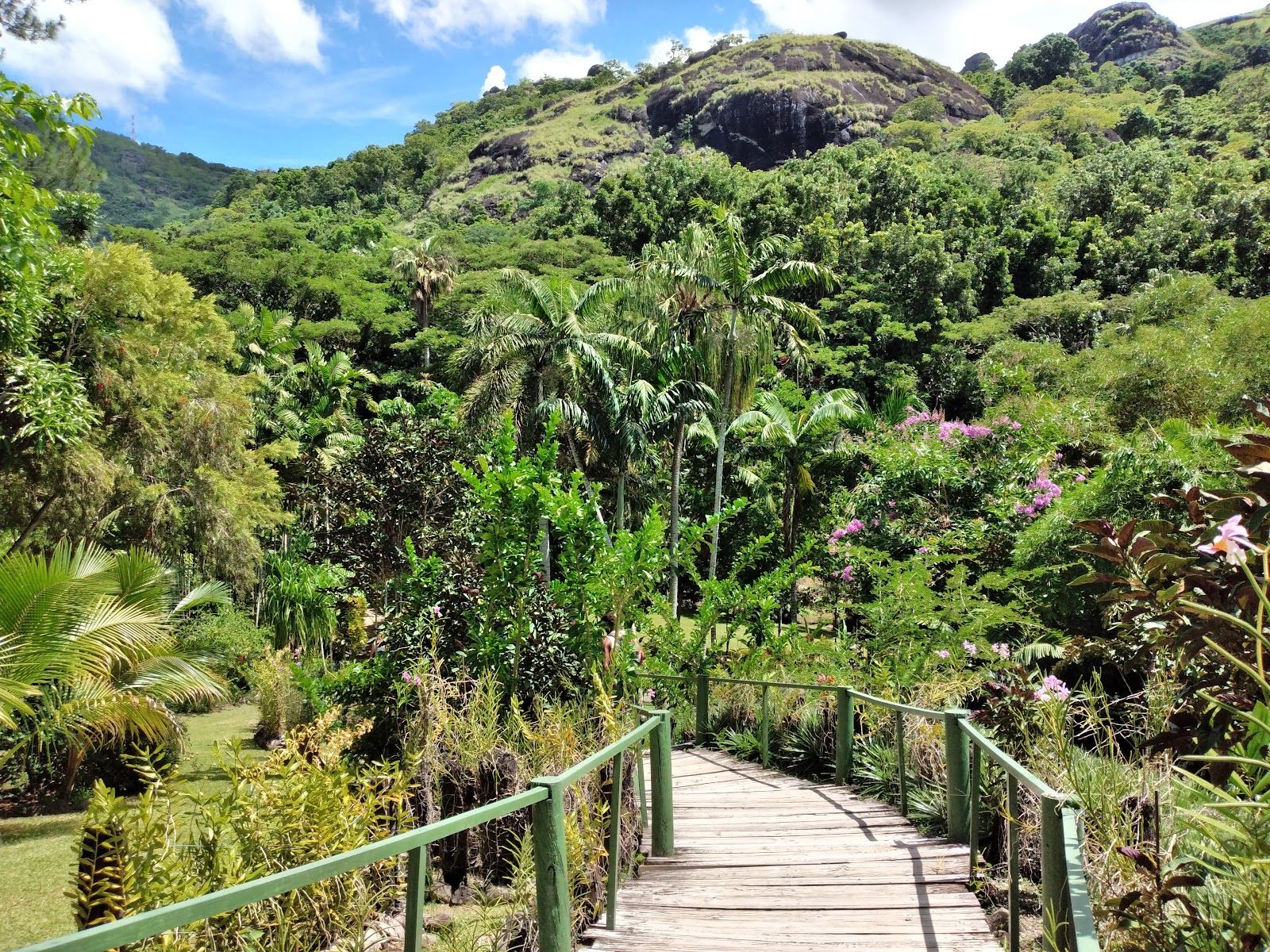 Garden of the Sleeping Giant
