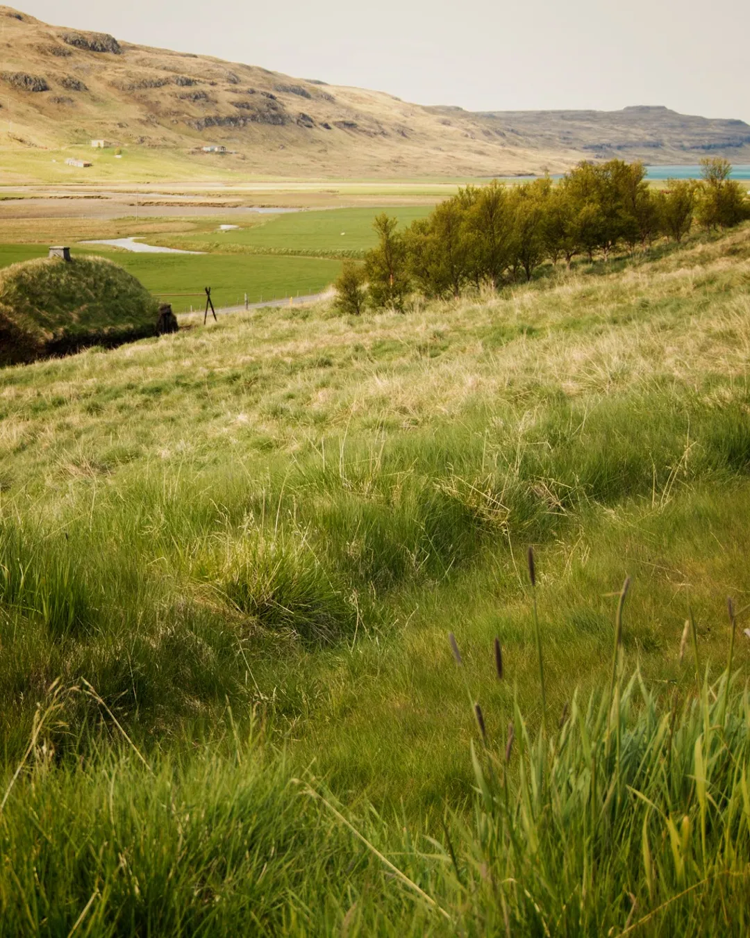 Eiríksstaðir - Longhouse