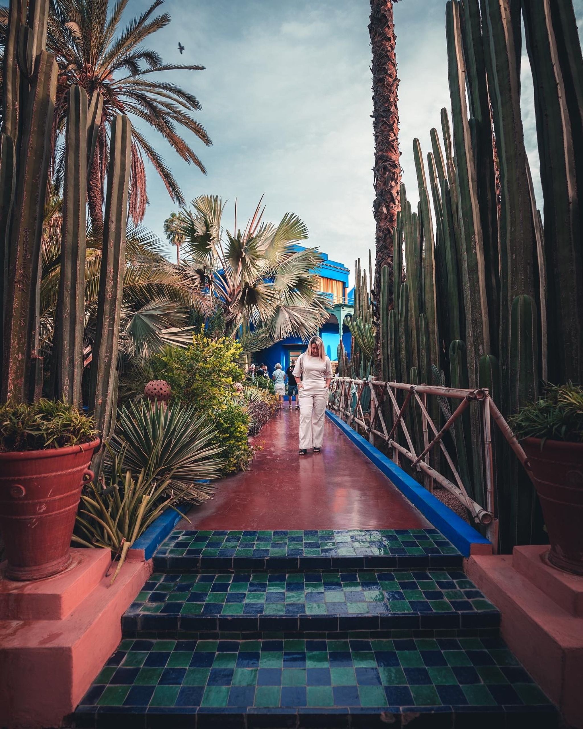 Jardin Majorelle & Berber Museum