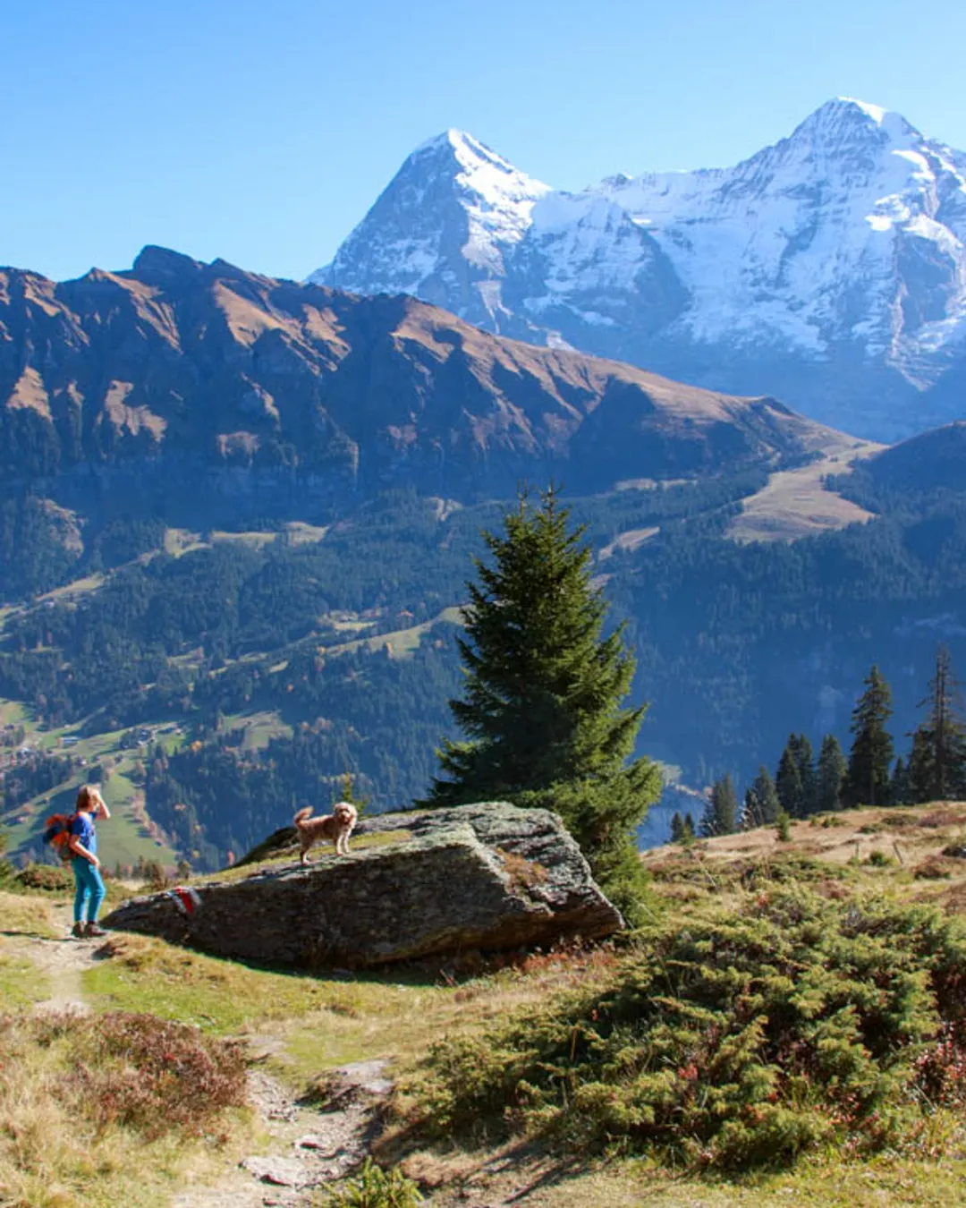 Mürren Mountain View Trail