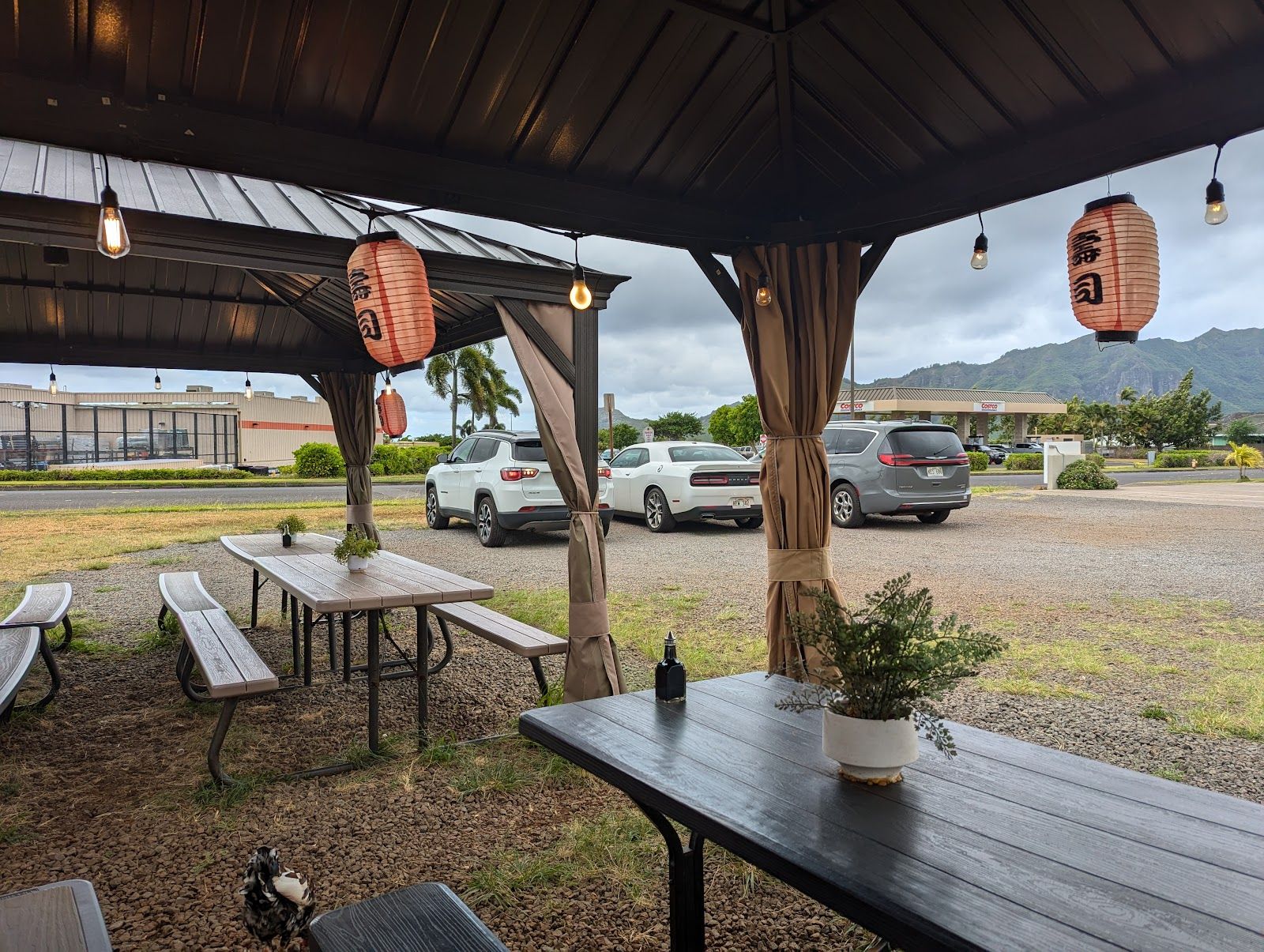 Kauaʻi Sushi Station