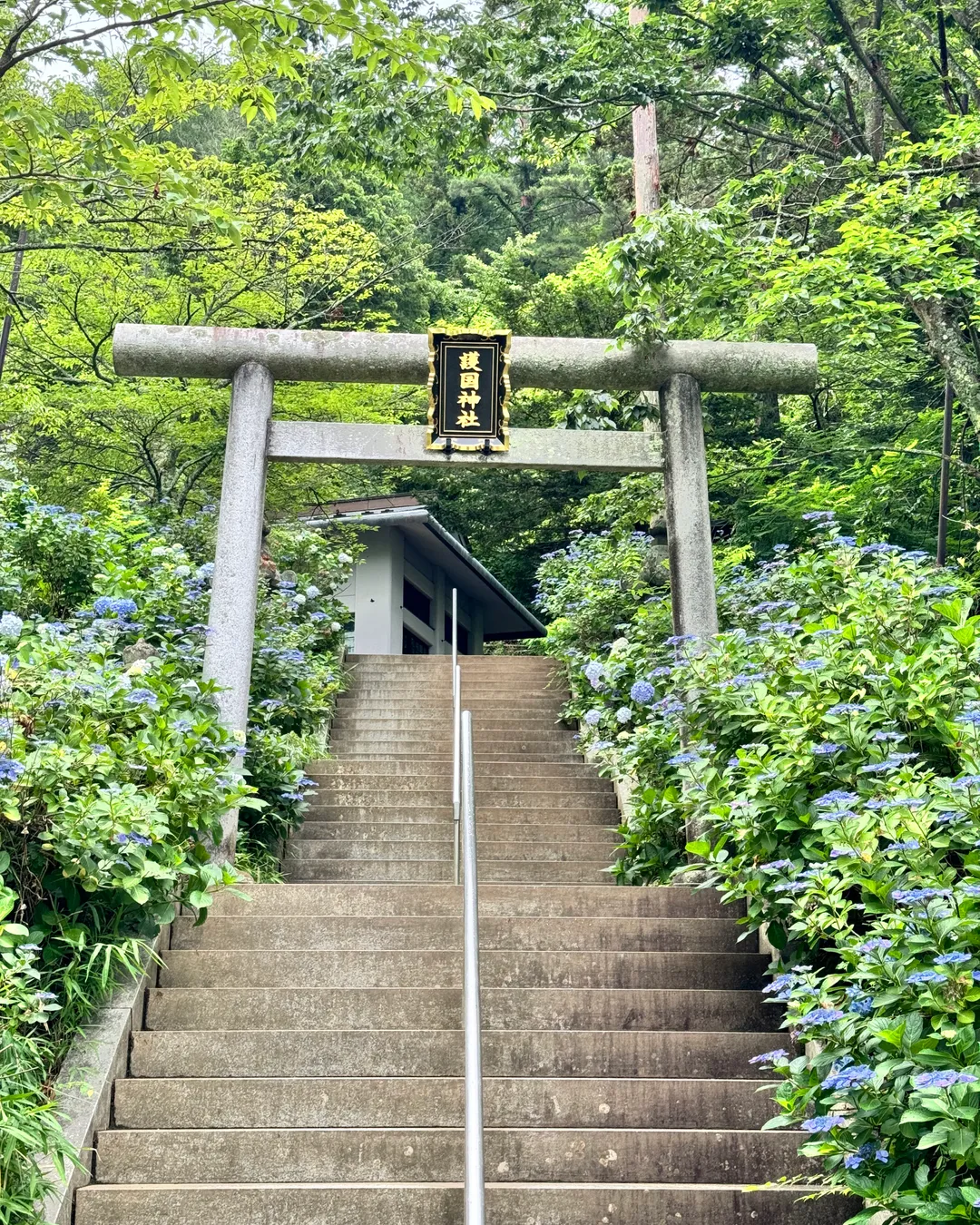 Tenjōsan Park (Kachi Kachi Yama)