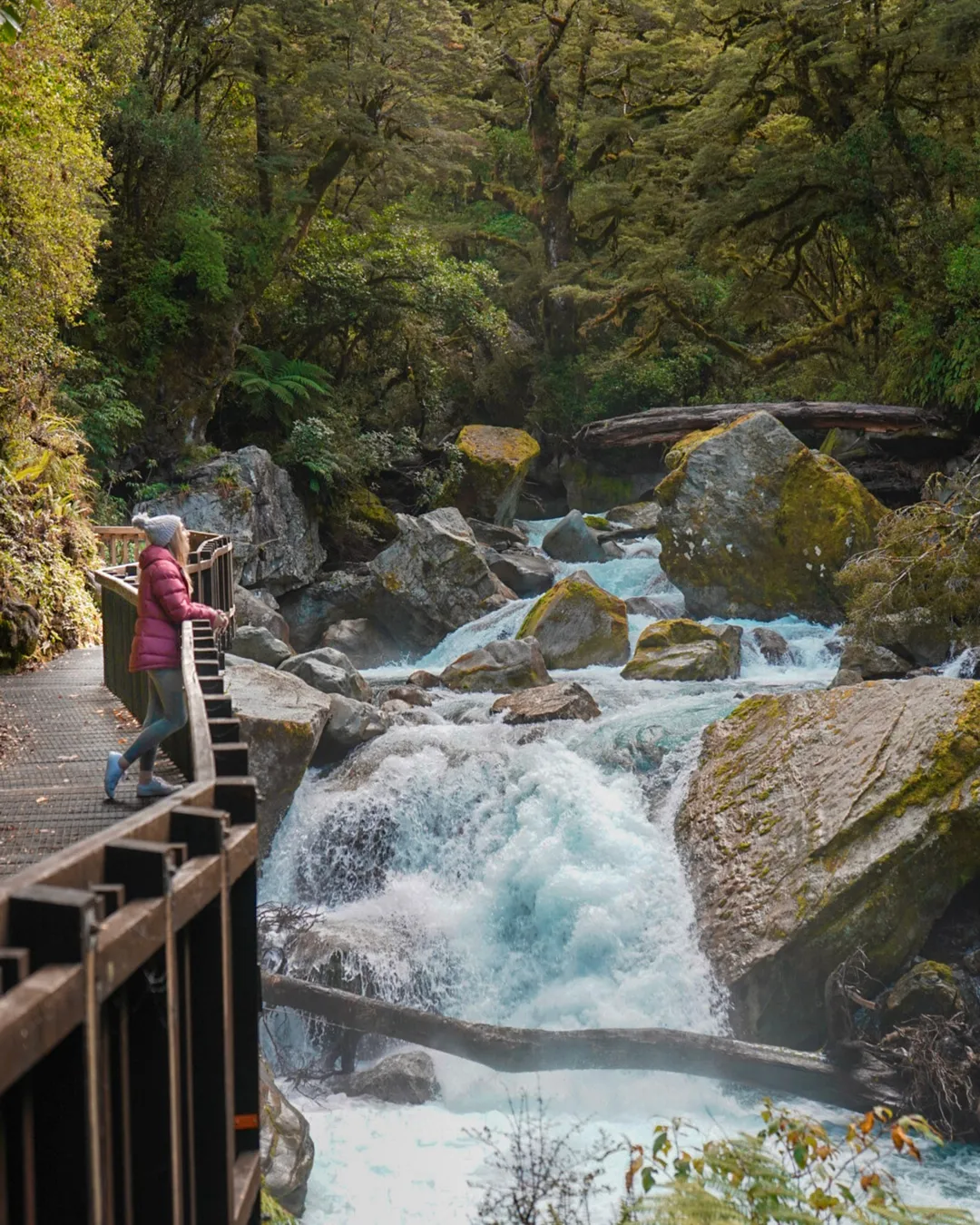 Lake Marian Falls Track