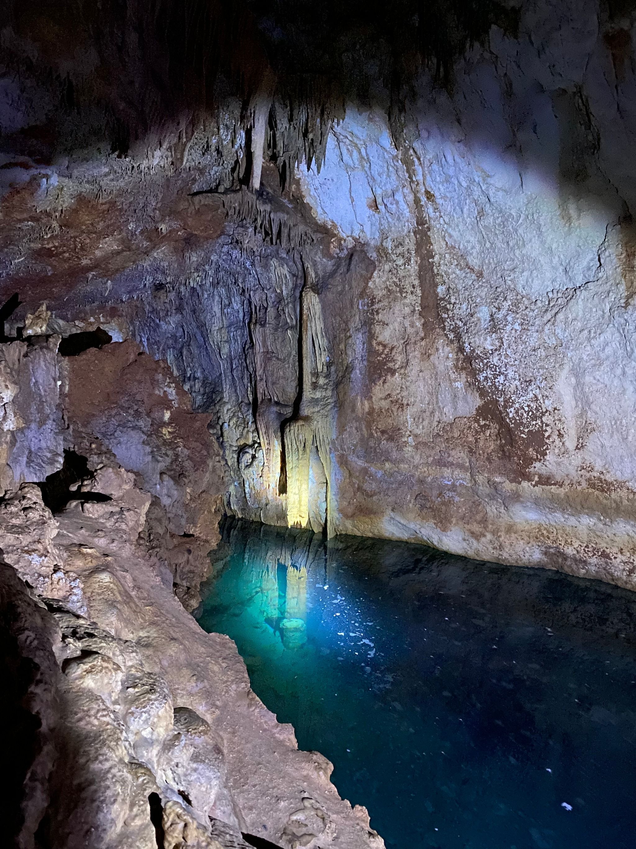 Cova de sa Cabra i sa Tortuga