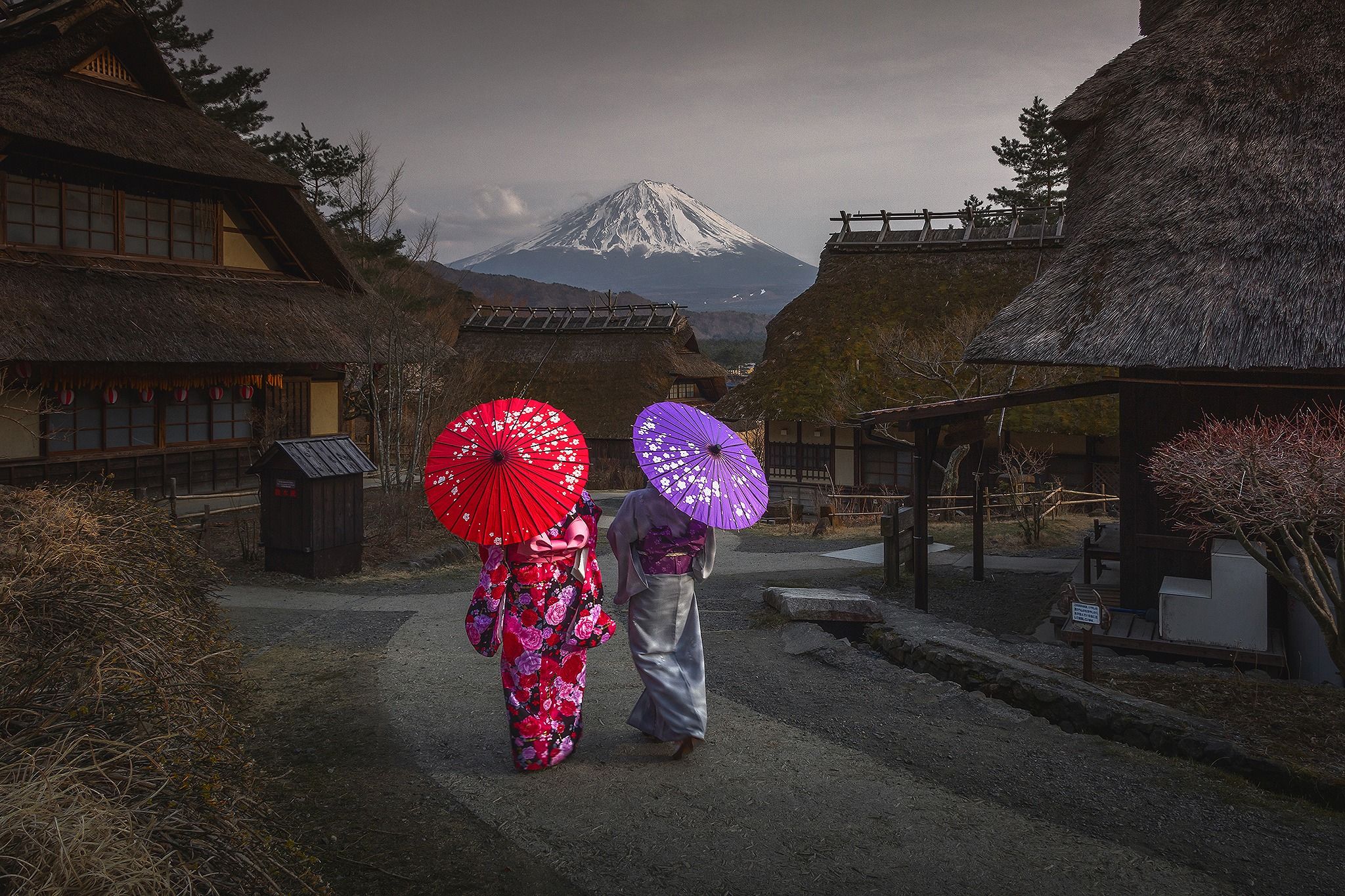 Saiko Iyashi-no-Sato Nemba (Traditional Japanese Village)