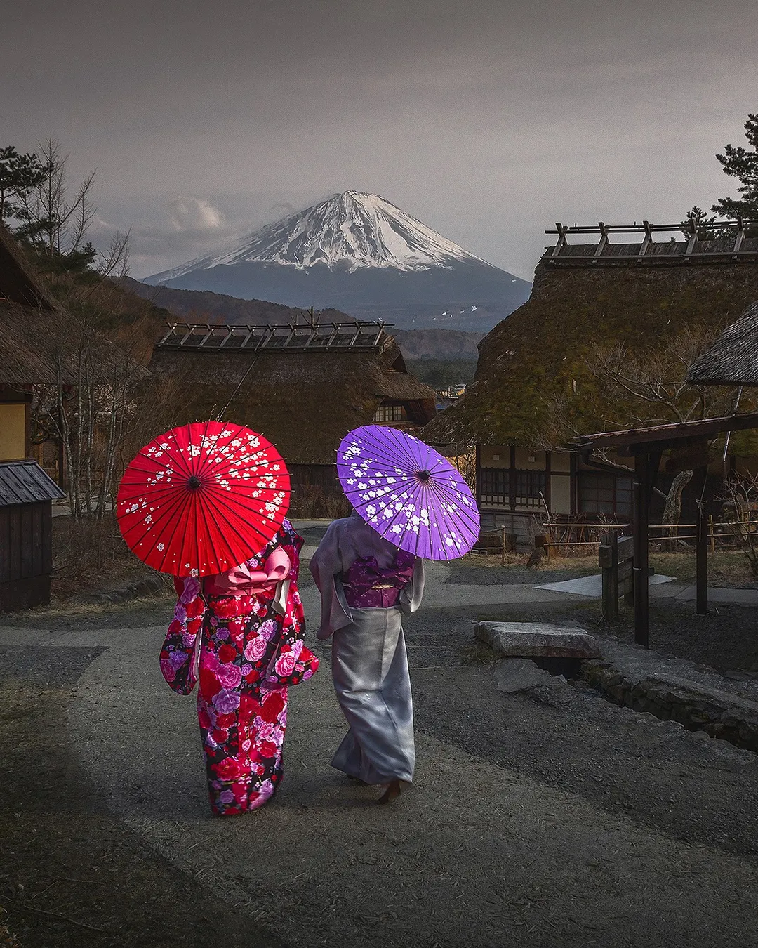 Saiko Iyashi-no-Sato Nemba (Traditional Japanese Village)