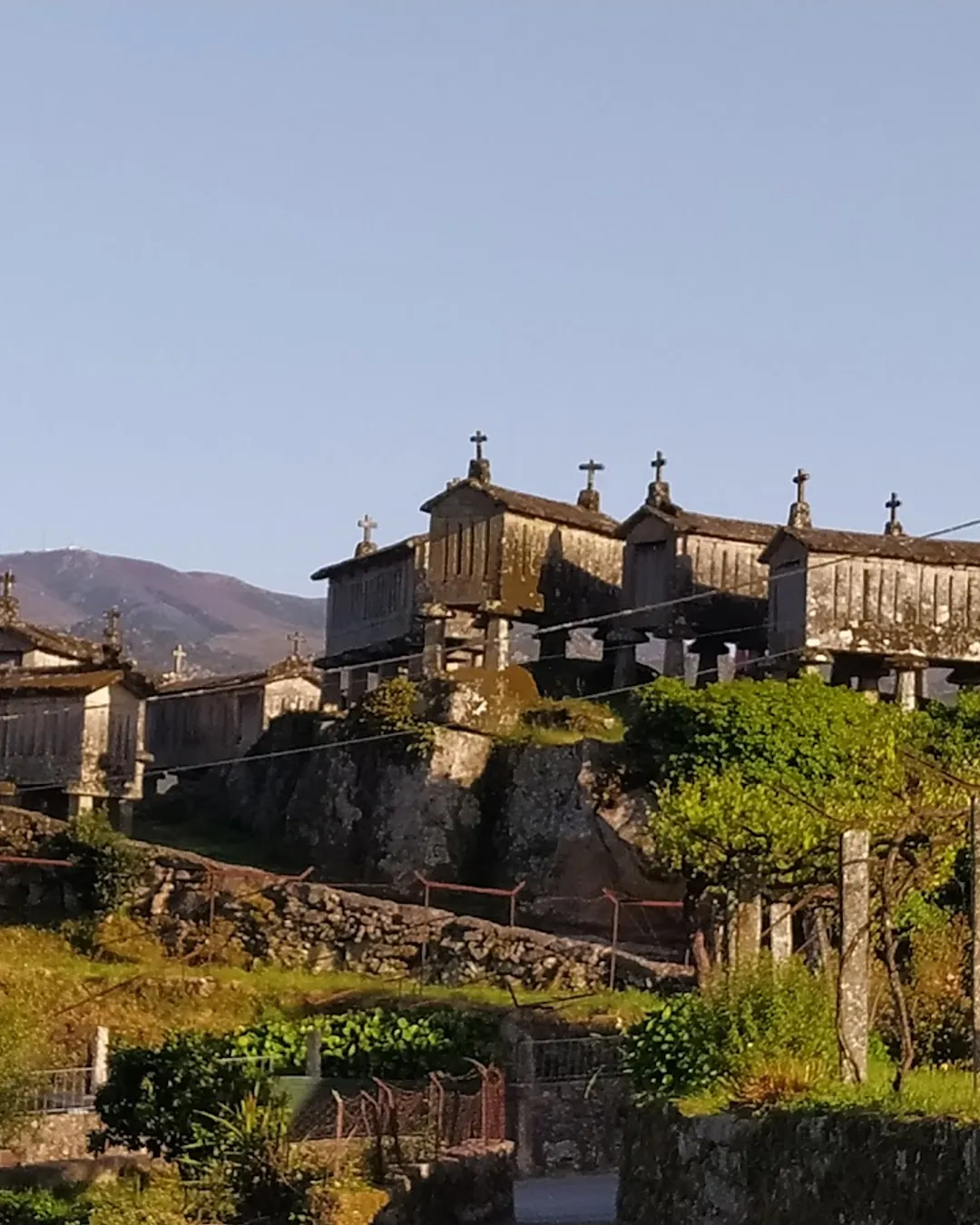 Soajo