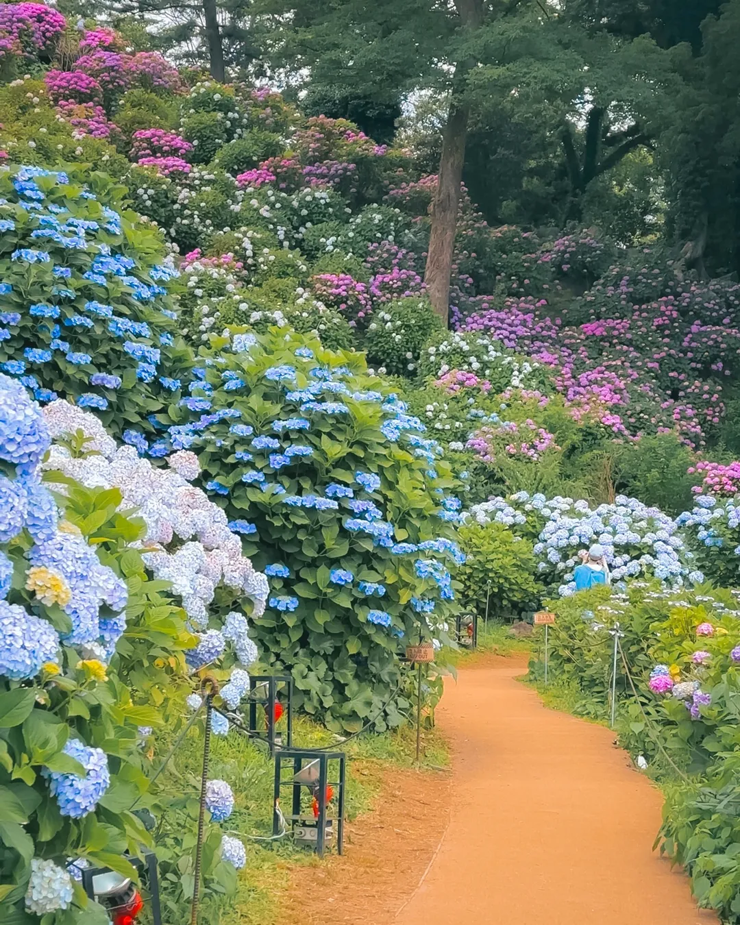 Odawara Castle Park