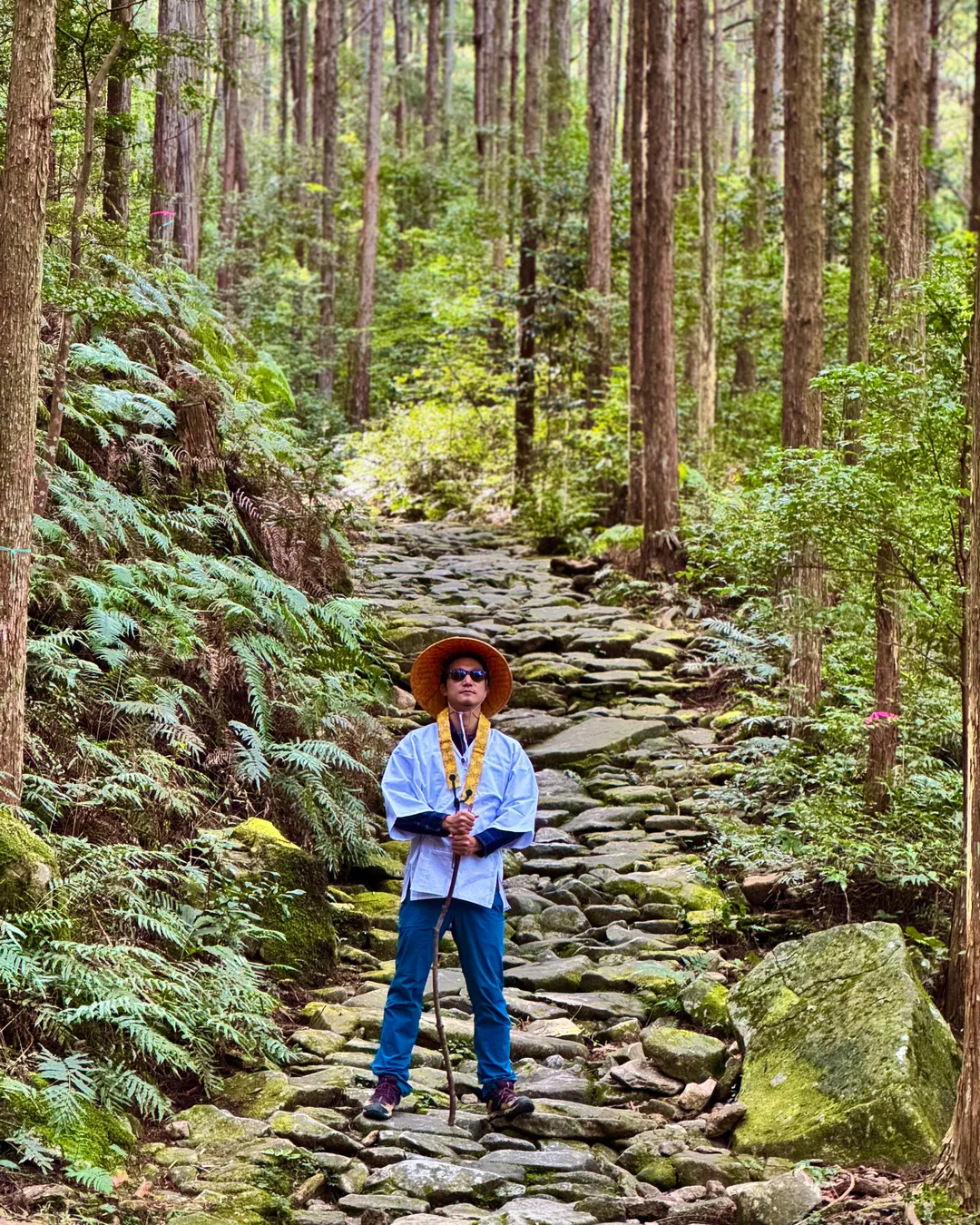 Kumano Kodo Iseji Magose Pass 