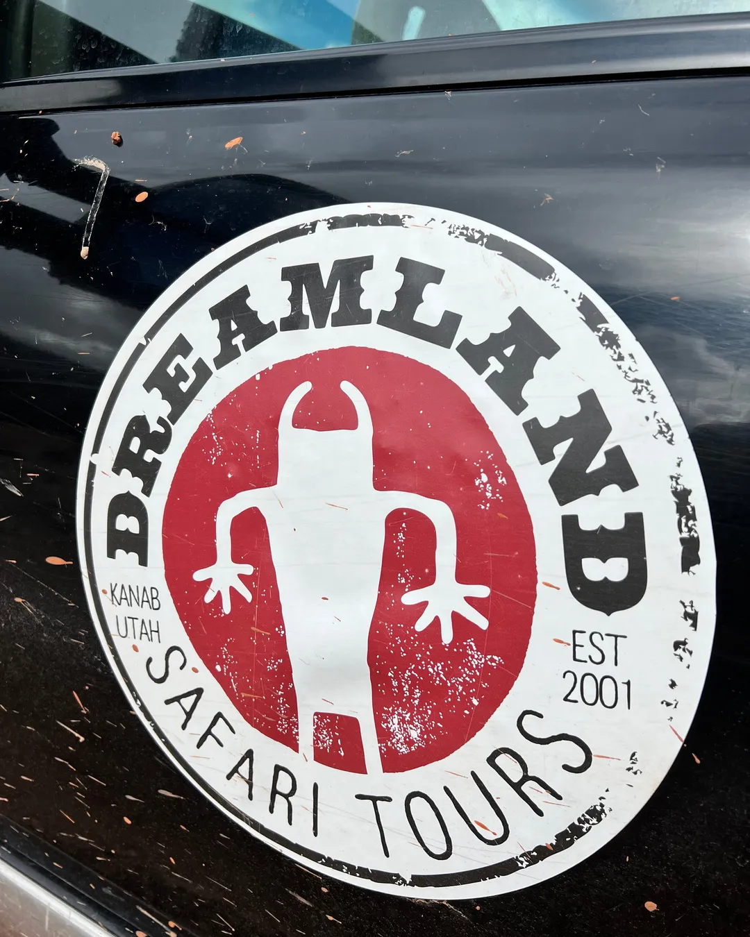 Dreamland Safari Tours