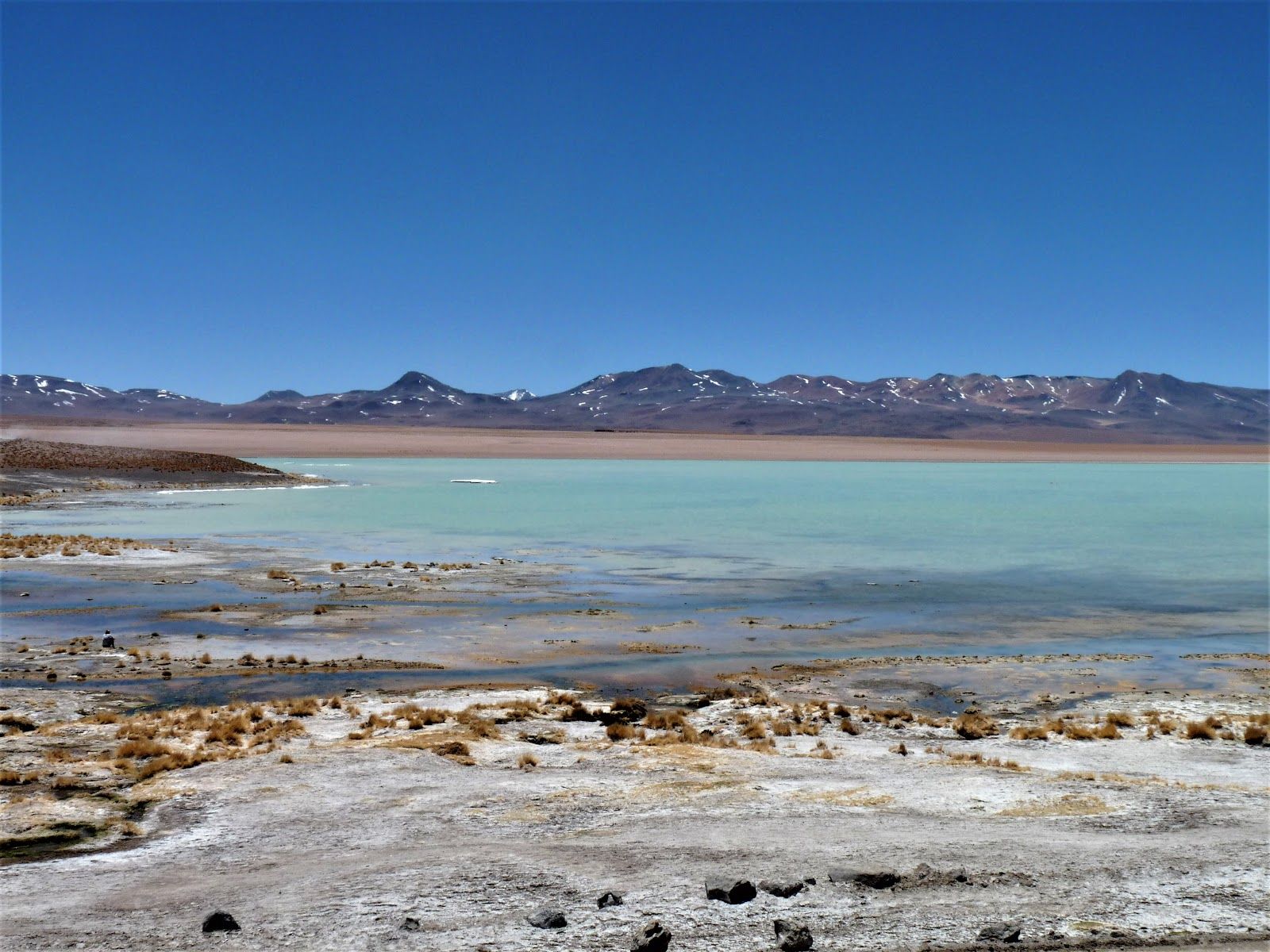 Salar de Chalviri