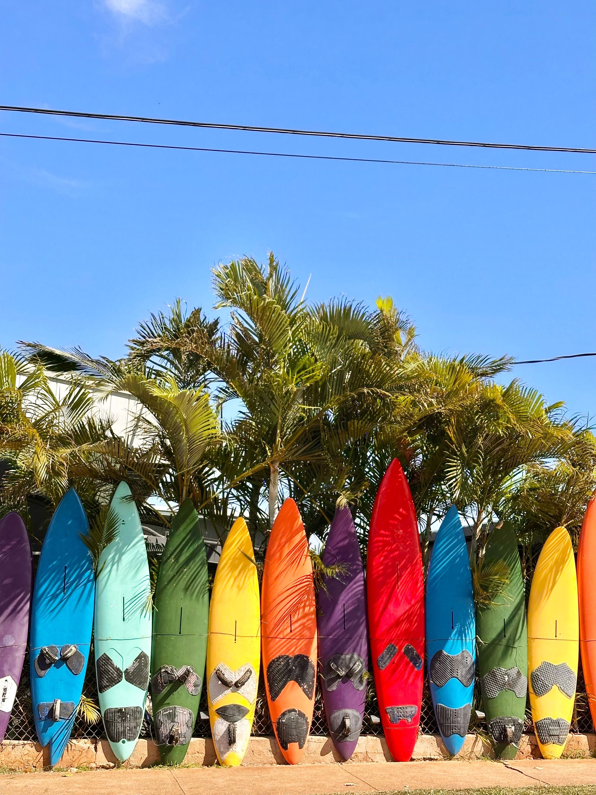 Paia Surfboard Wall