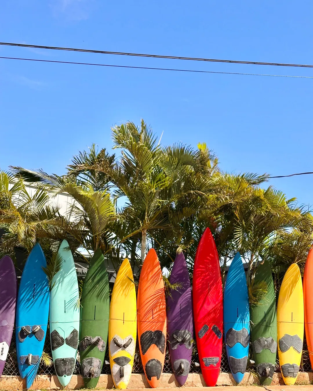 Paia Surfboard Wall
