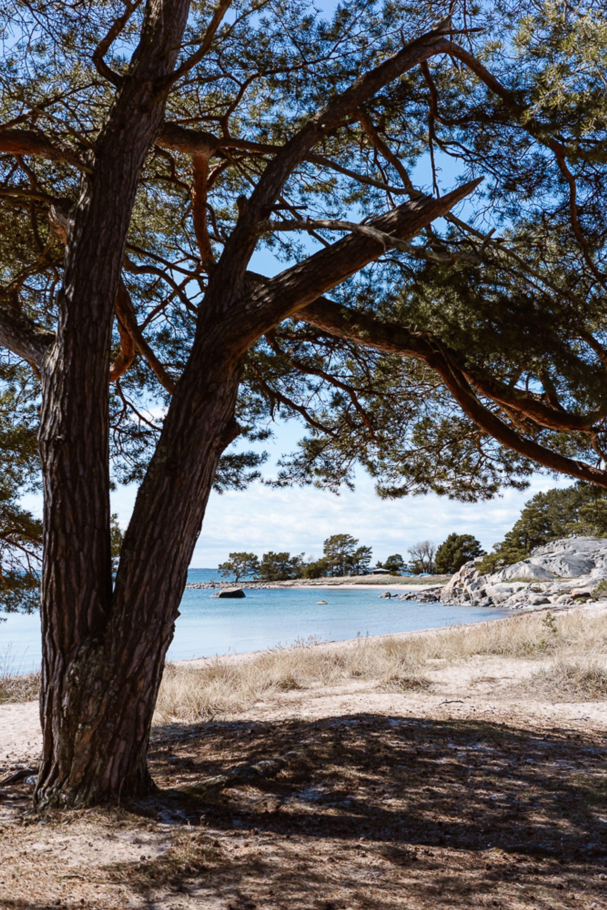 Trouville (Sandhamn)
