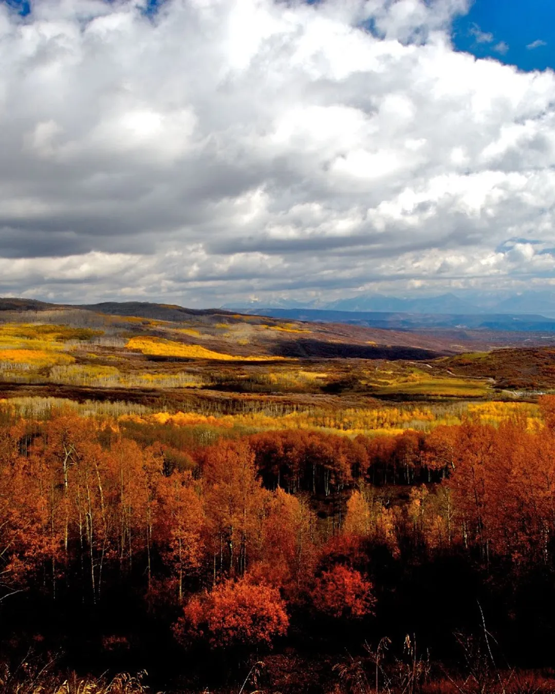 Grand Mesa Scenic Byway