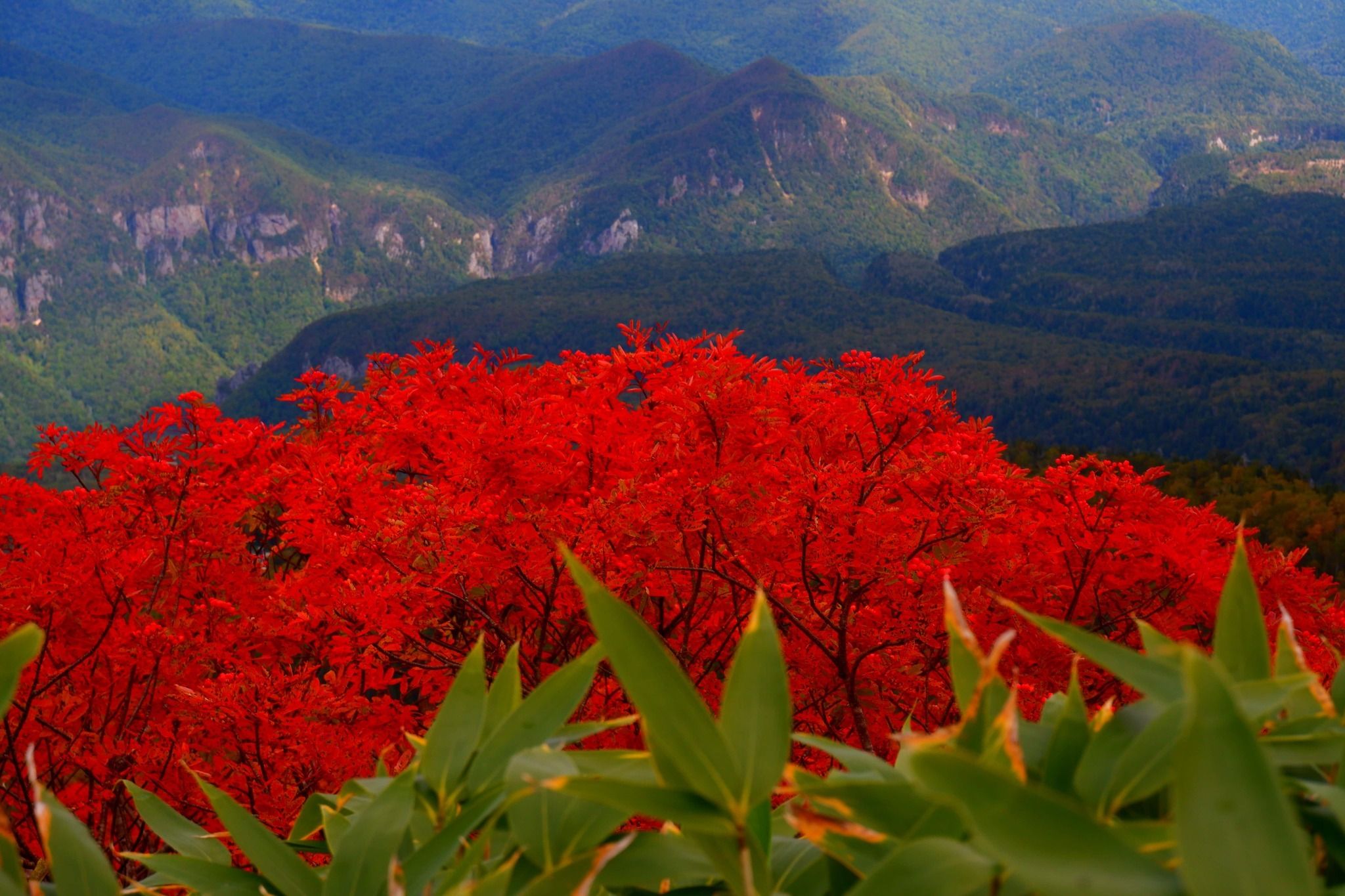 Mt. Kurodake - Nagano, Japan - Rexby