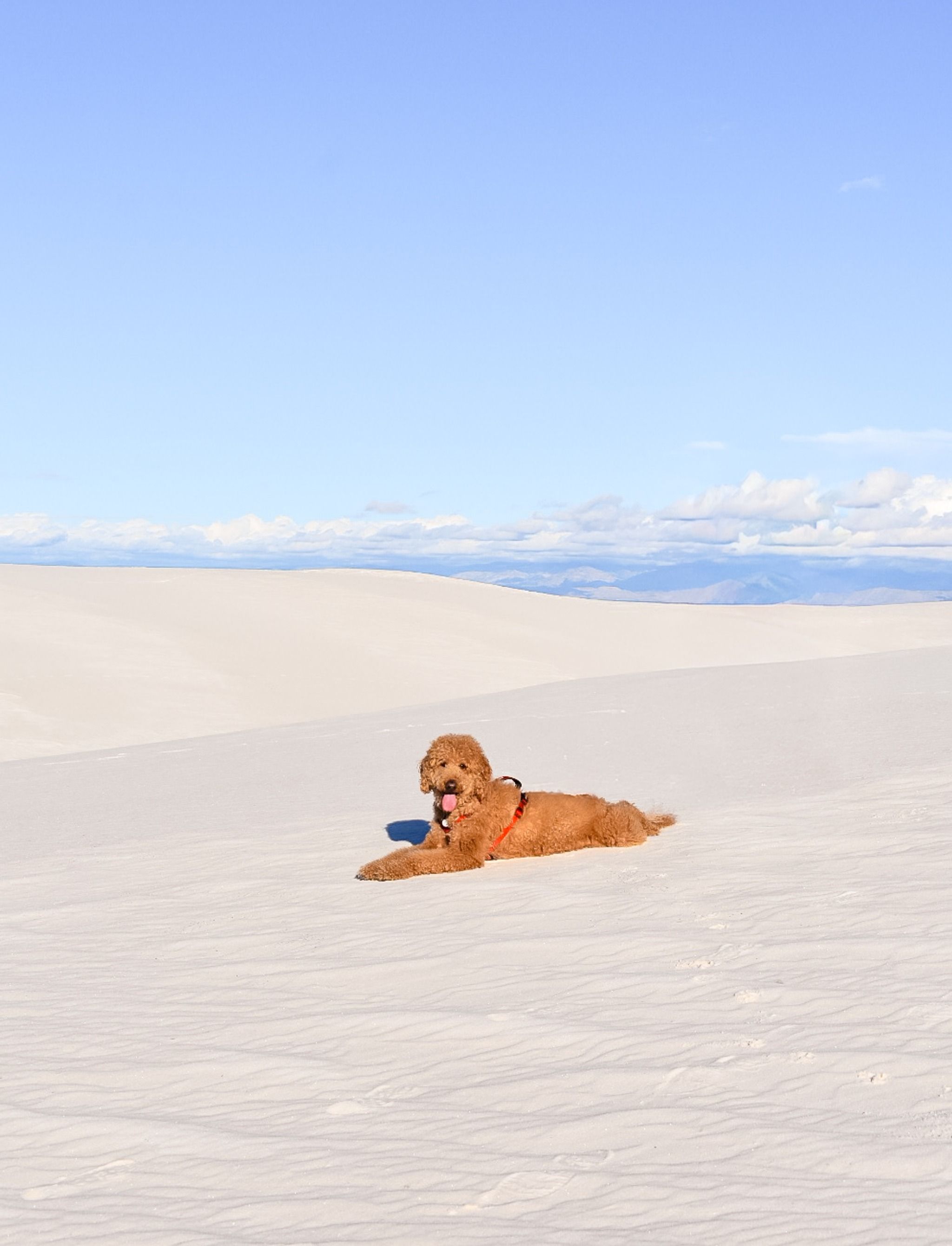 White Sands National Park