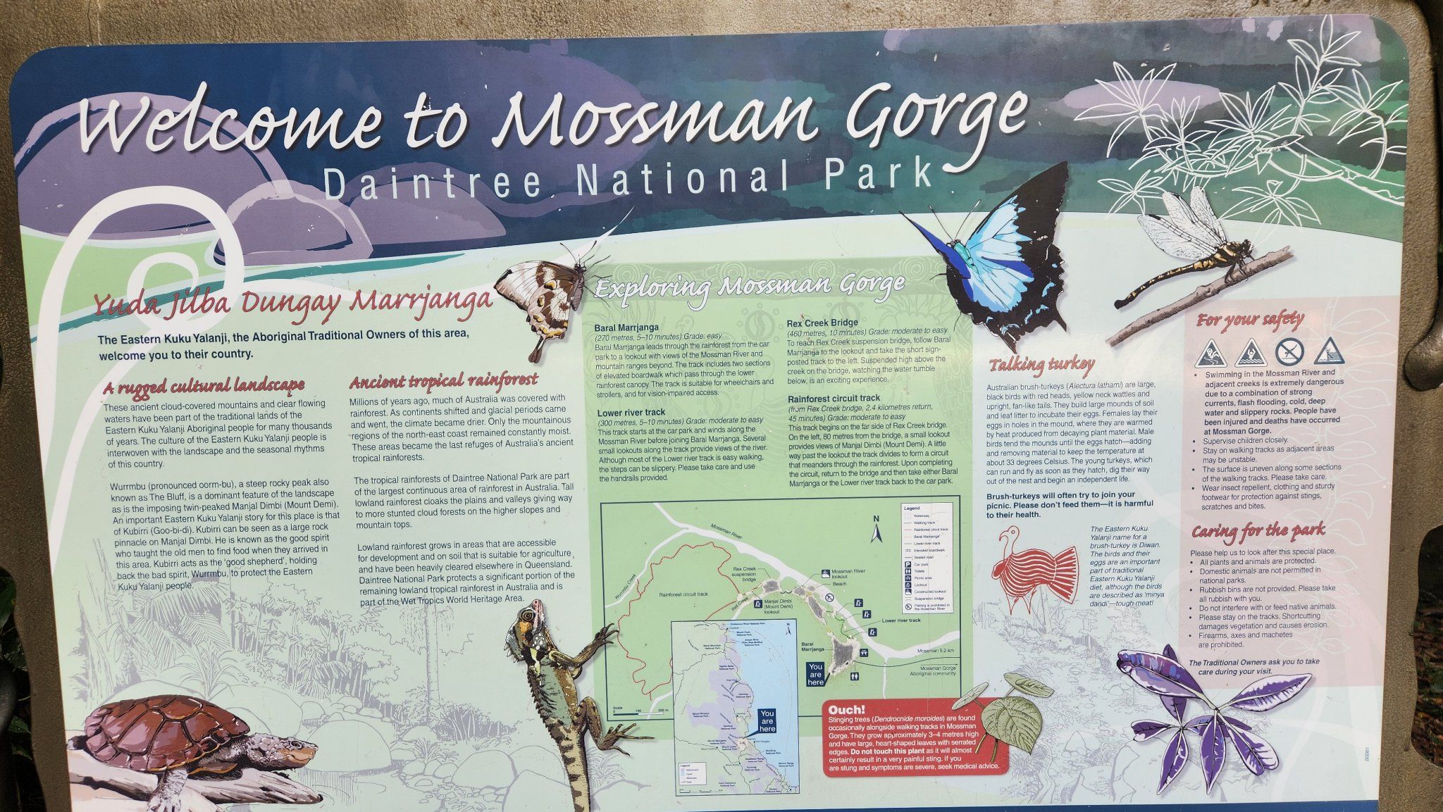 Mossman Gorge