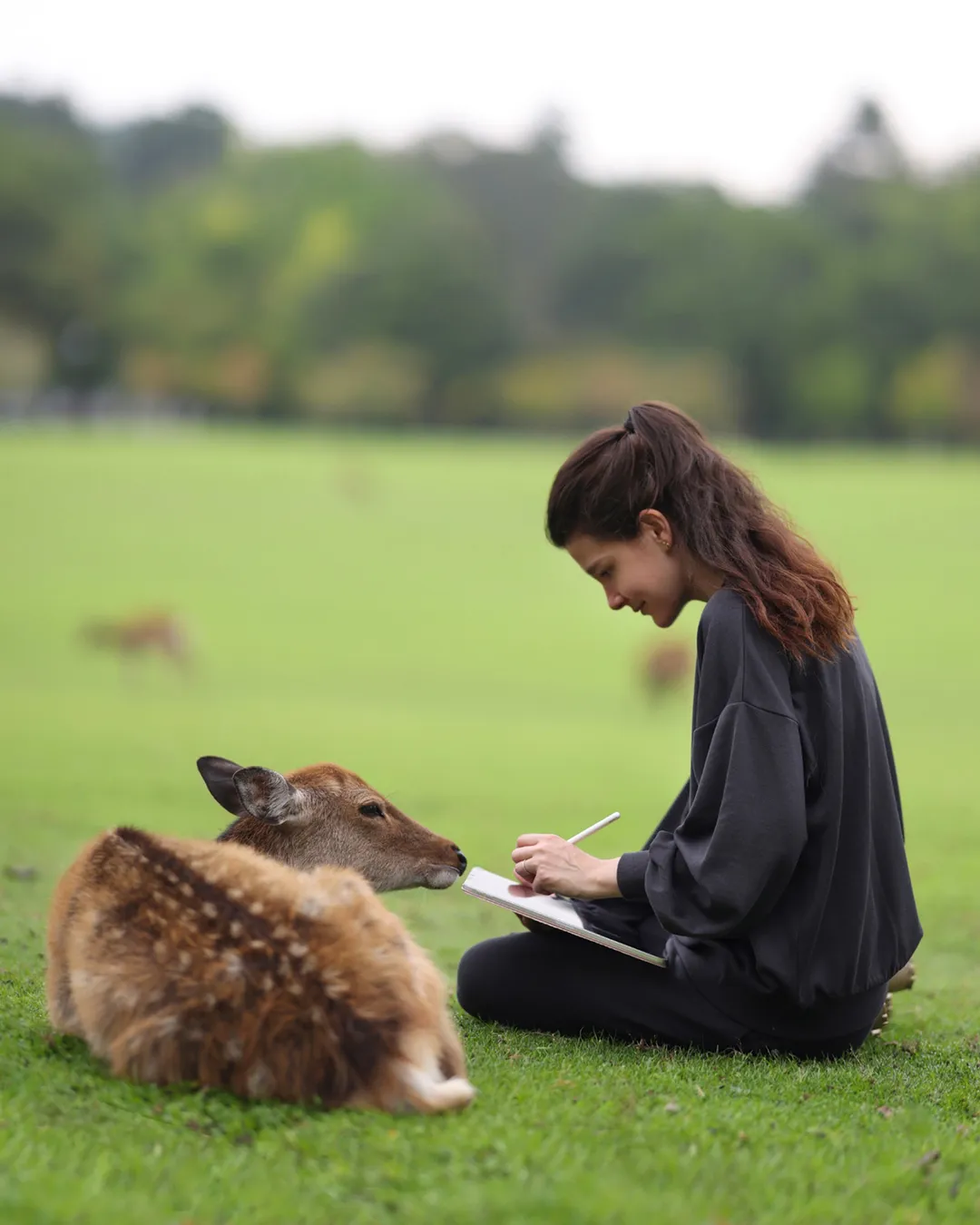 Nara Park