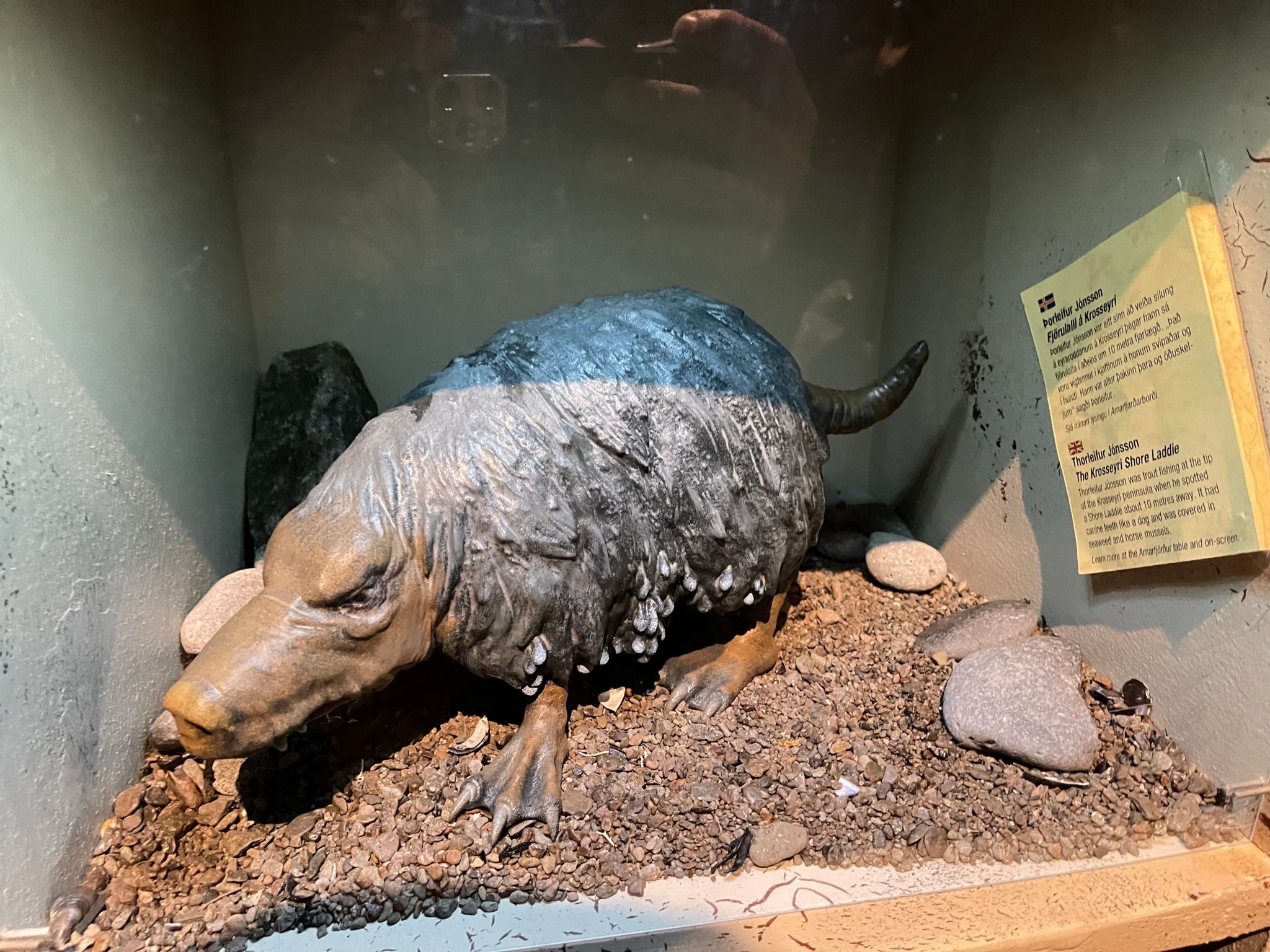 The Icelandic Sea Monster Museum and Coffee shop