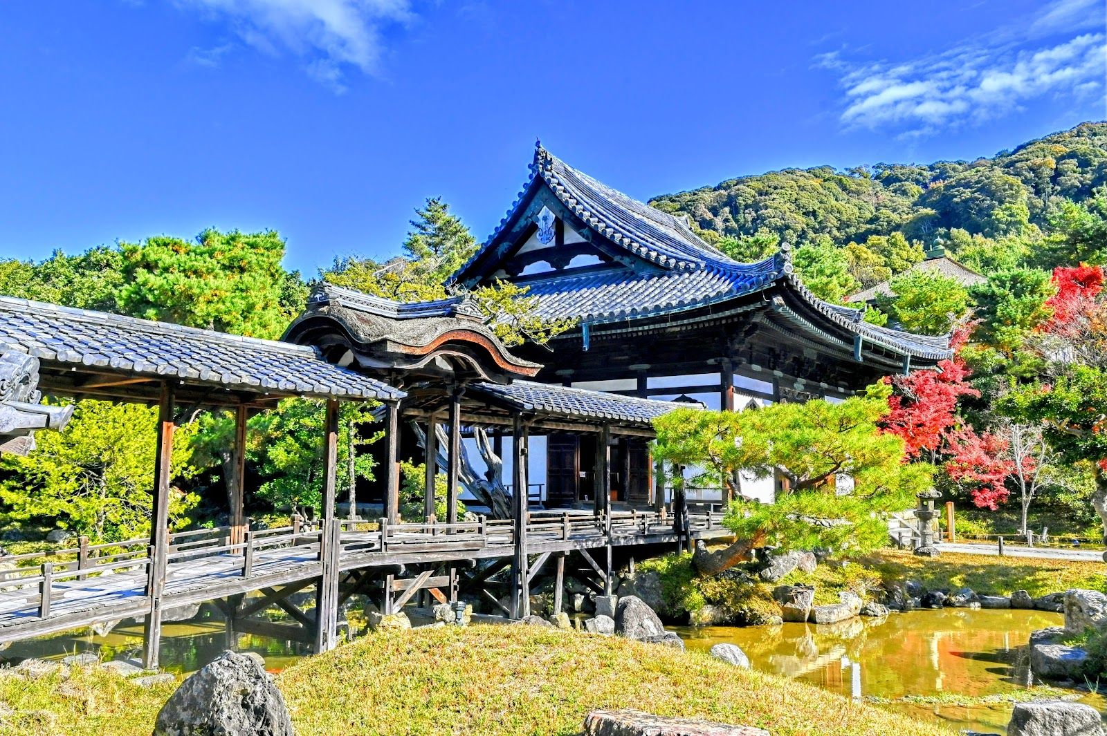 Kōdai-ji et méditation zen 
