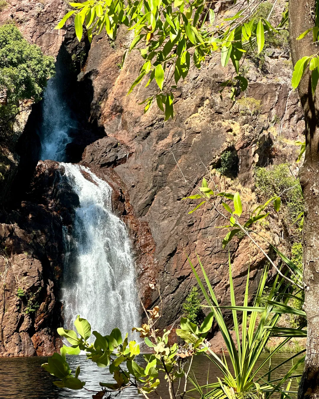 Wangi Falls - Fav waterfall in Litchfield