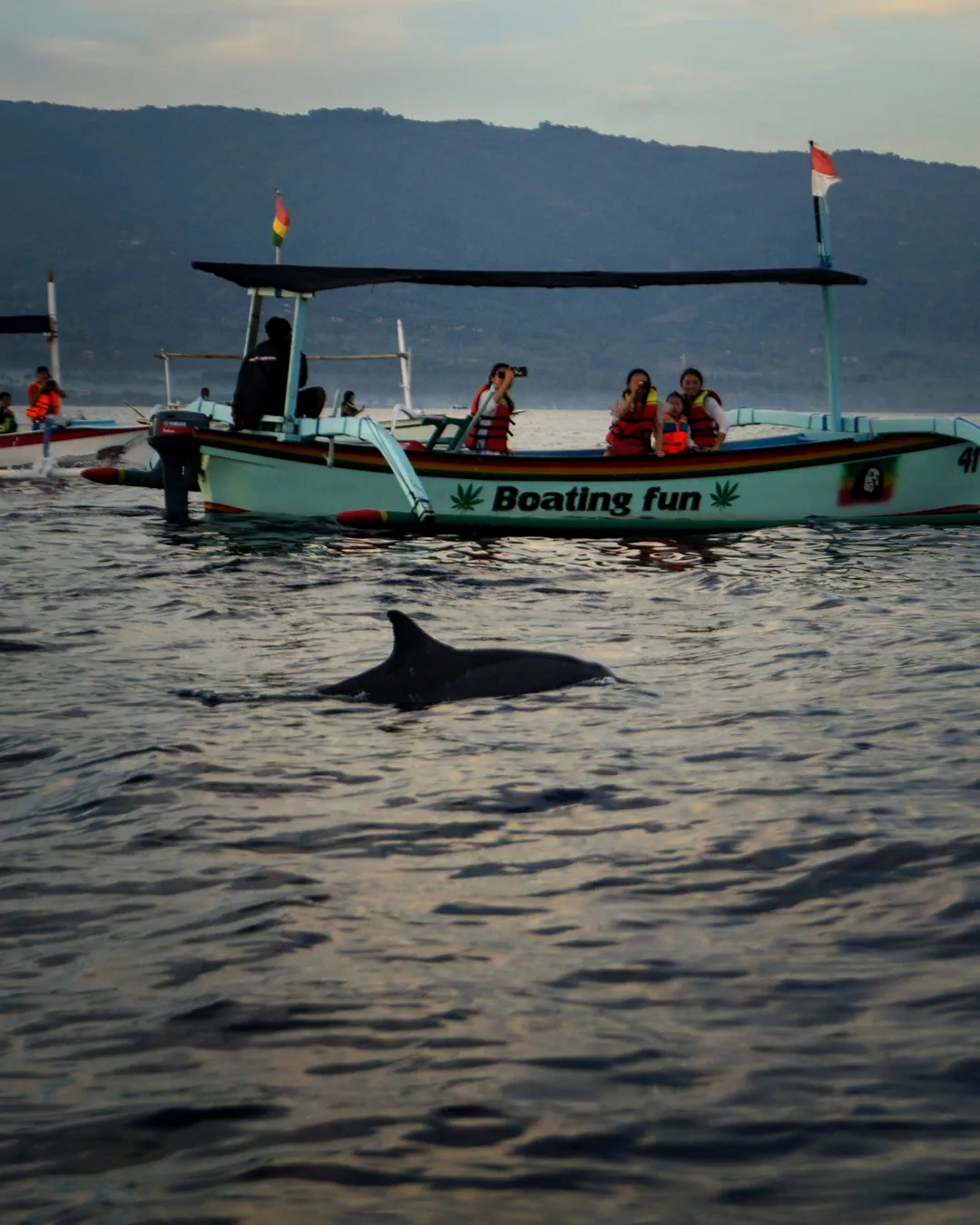 Lovina Dolphin Tour