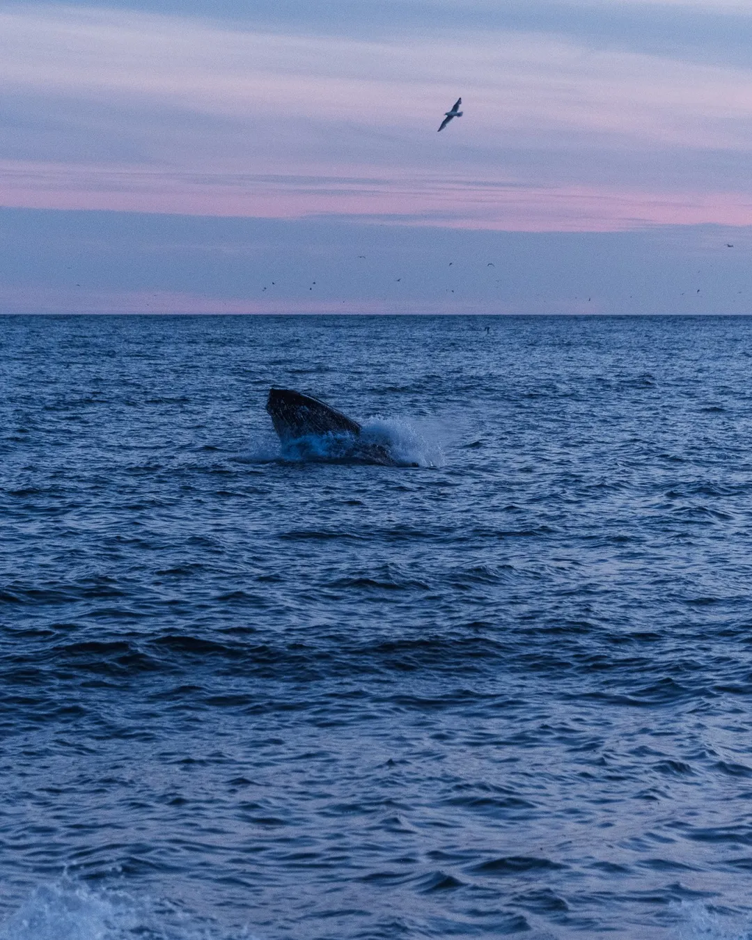 St. Vincent’s Beach
