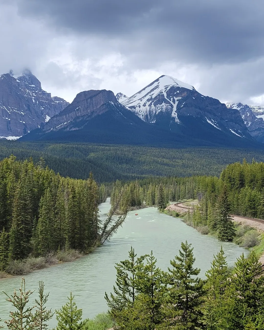 Morant's Curve