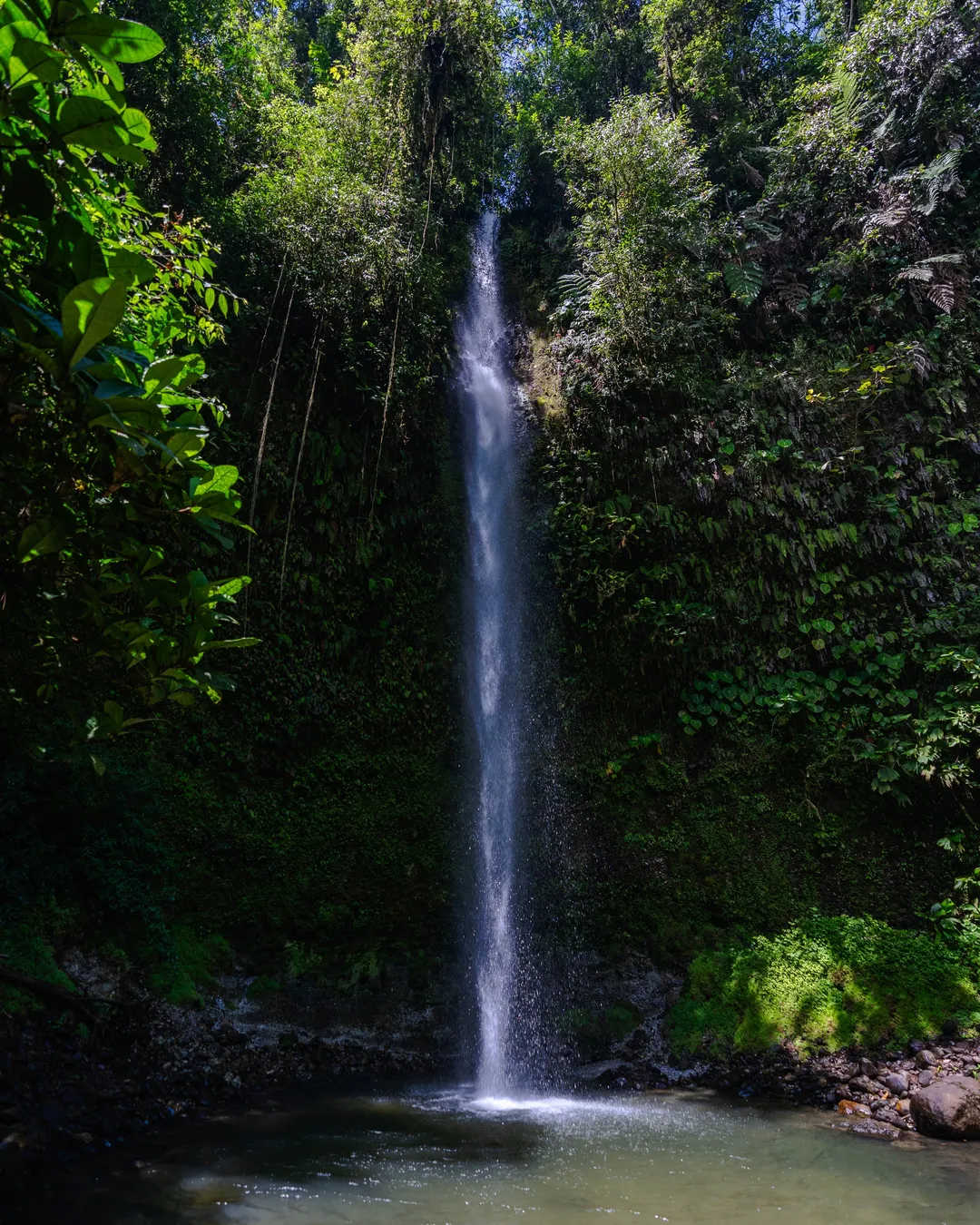 Cascada Hola Vida