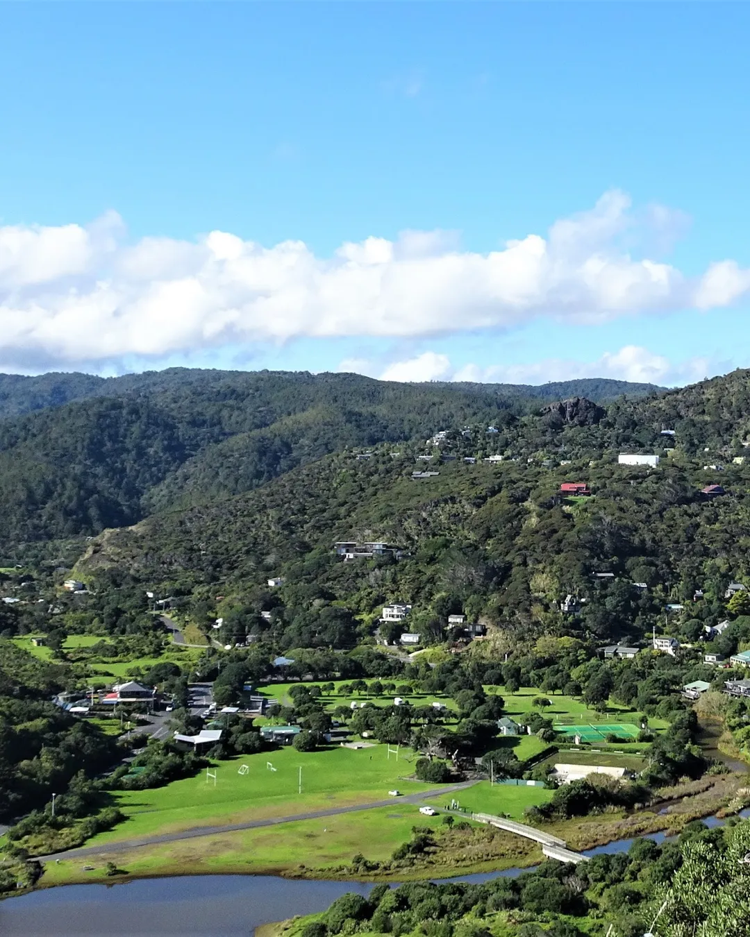  Piha Domain Motor Camp