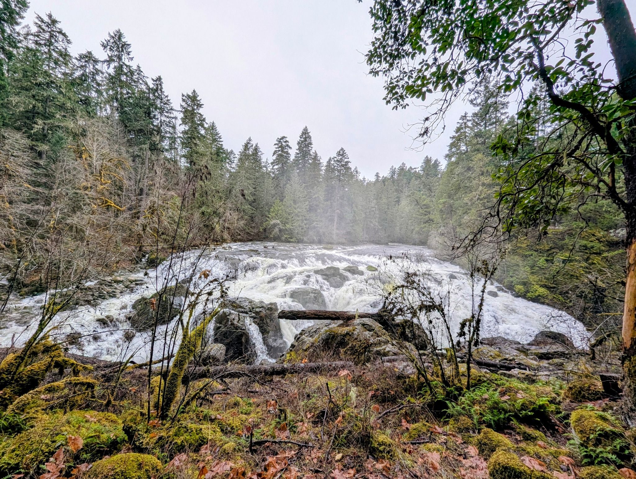 Englishman River Falls