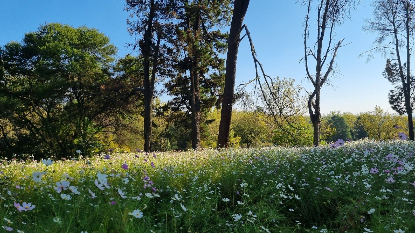 Delta Park
