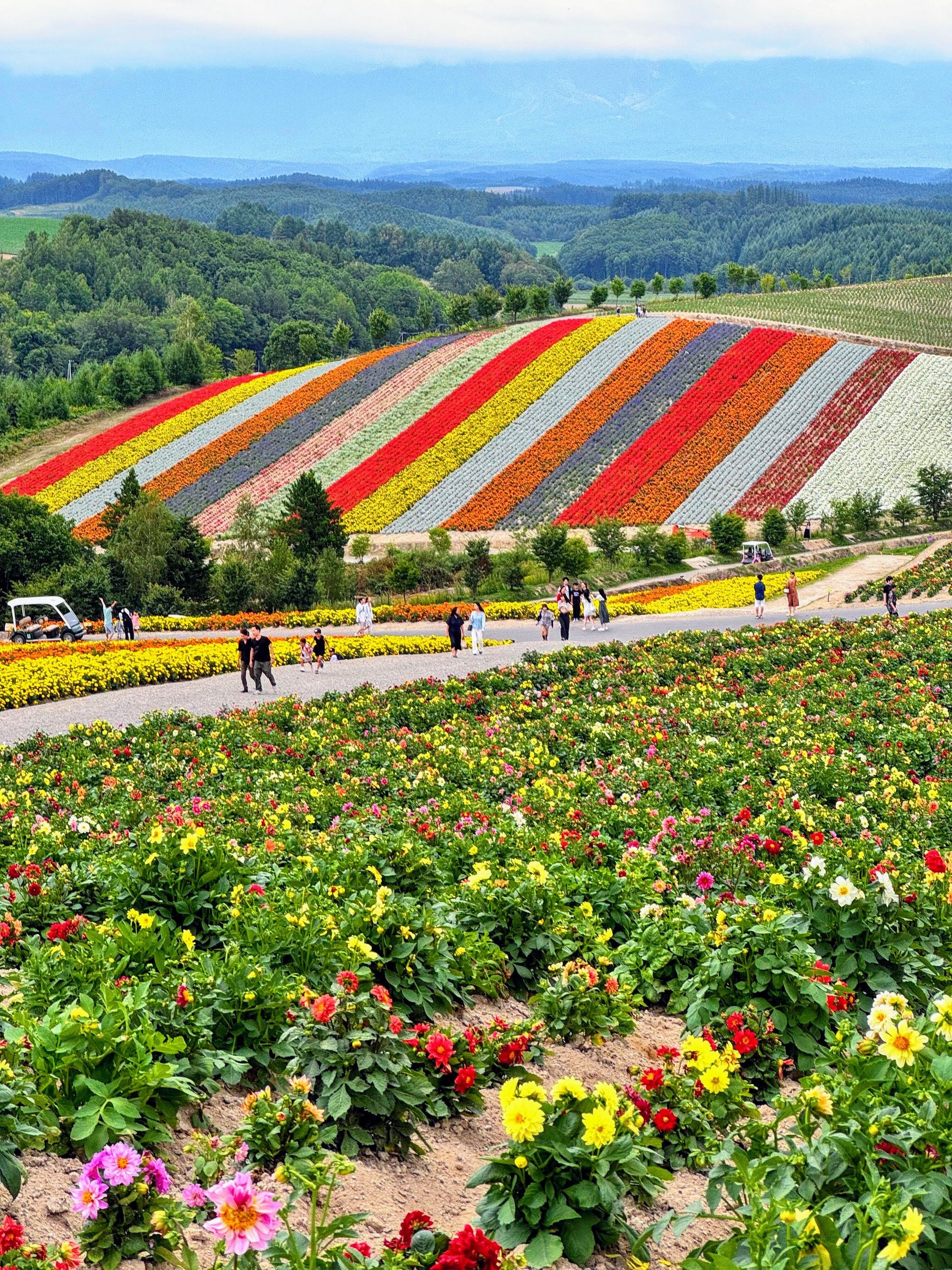 flower village様 Flower village 花夢の里 | Sera-gun Hiroshima