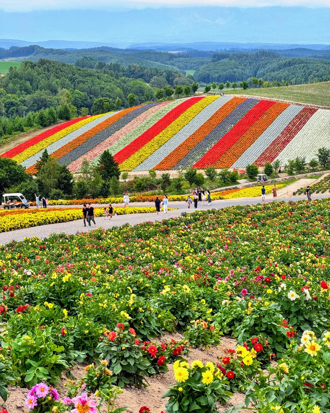 Panoramic Flower Gardens Shikisai-no-oka