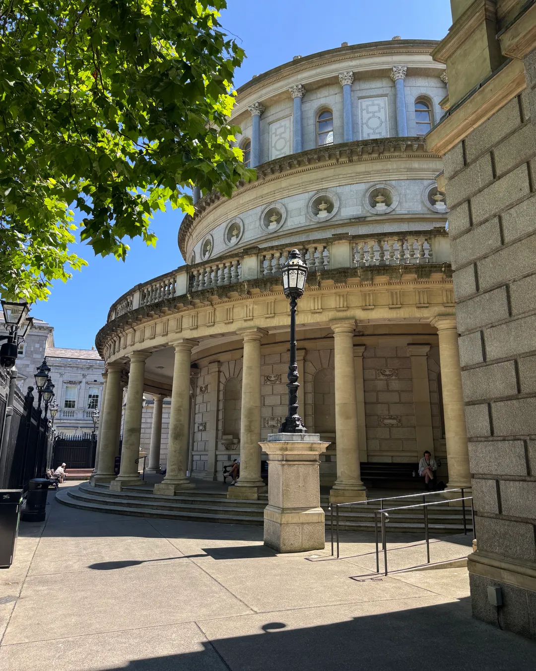 National Museum of Ireland, Kildare Street