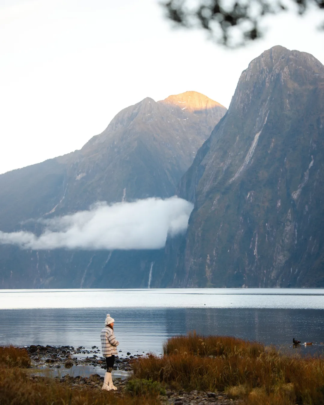 Milford Sound / Piopiotahi