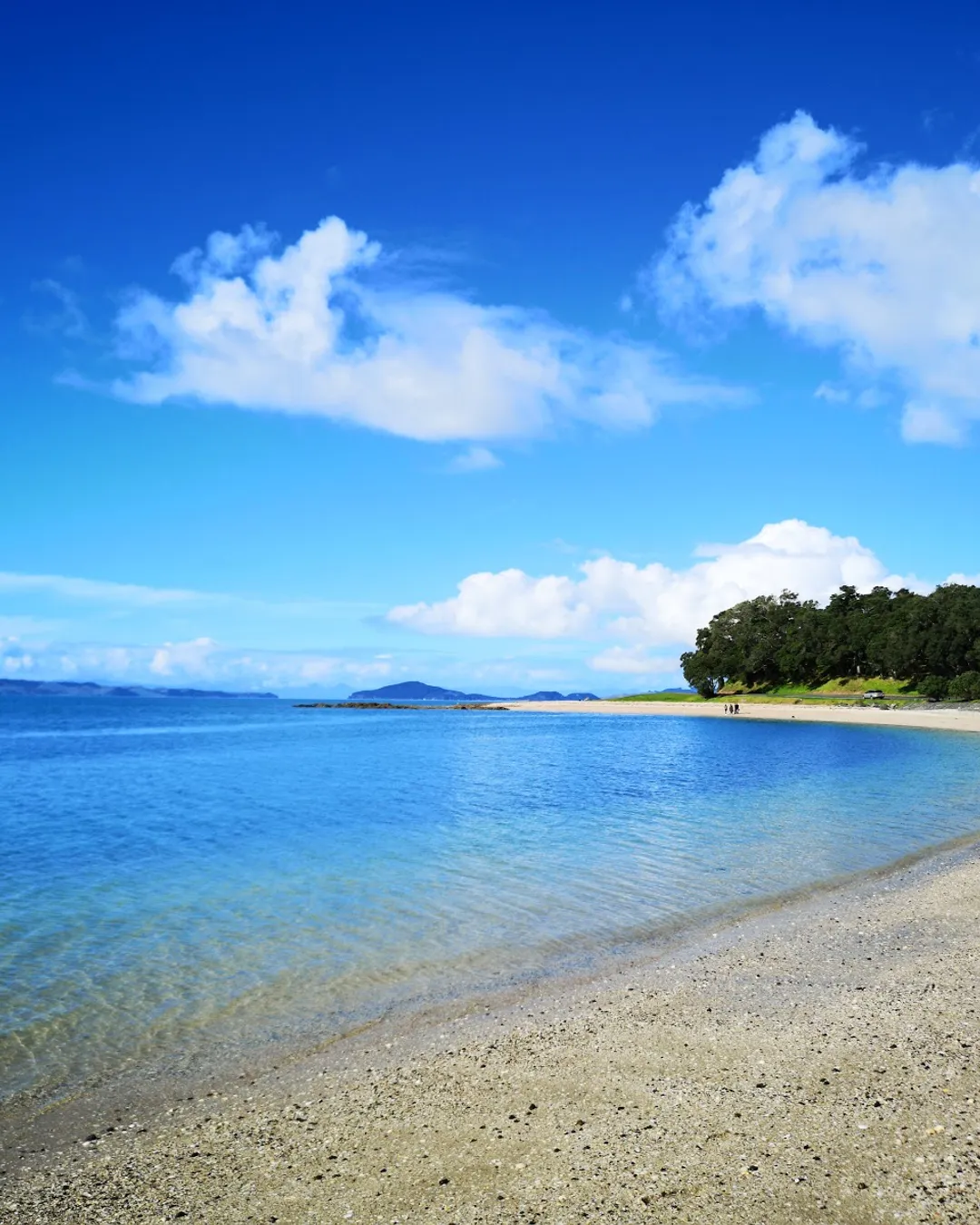 Ko Maraetai te moana - Our Sea