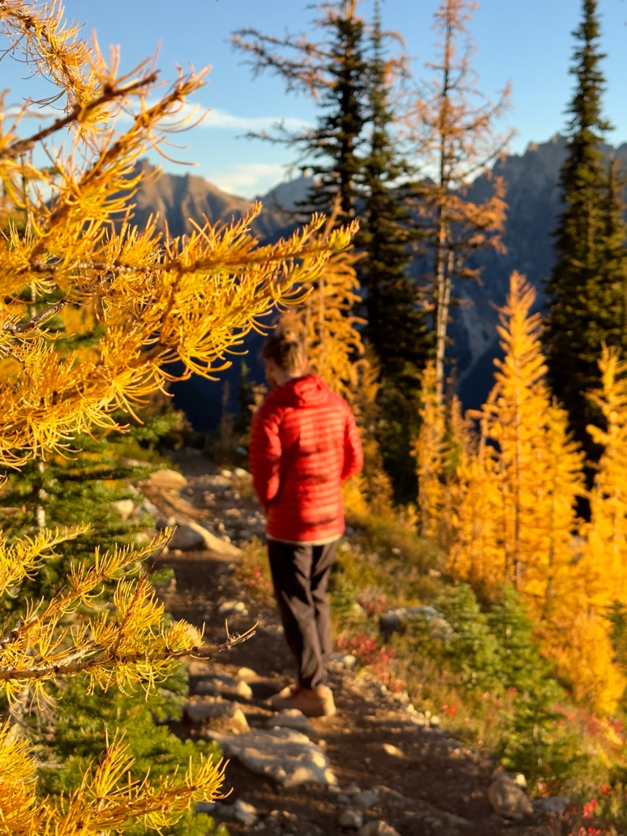 Maple Pass Trailhead
