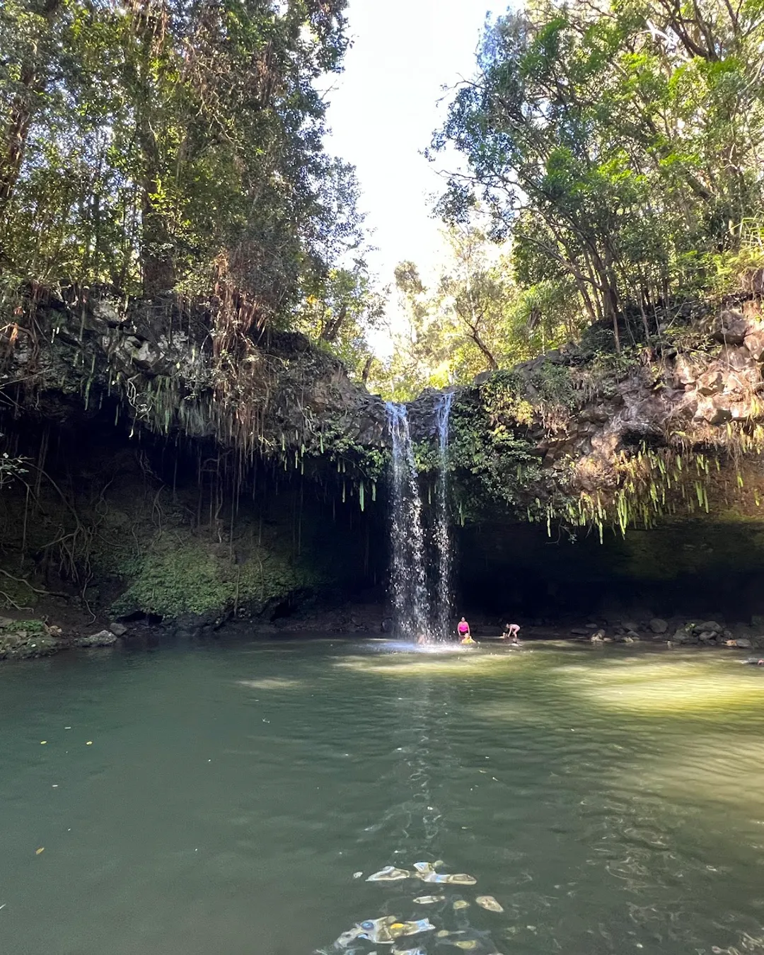 Twin Falls Maui