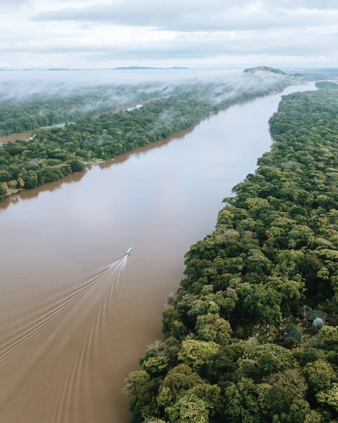 Parque Nacional Tortuguero - Kanu Tour