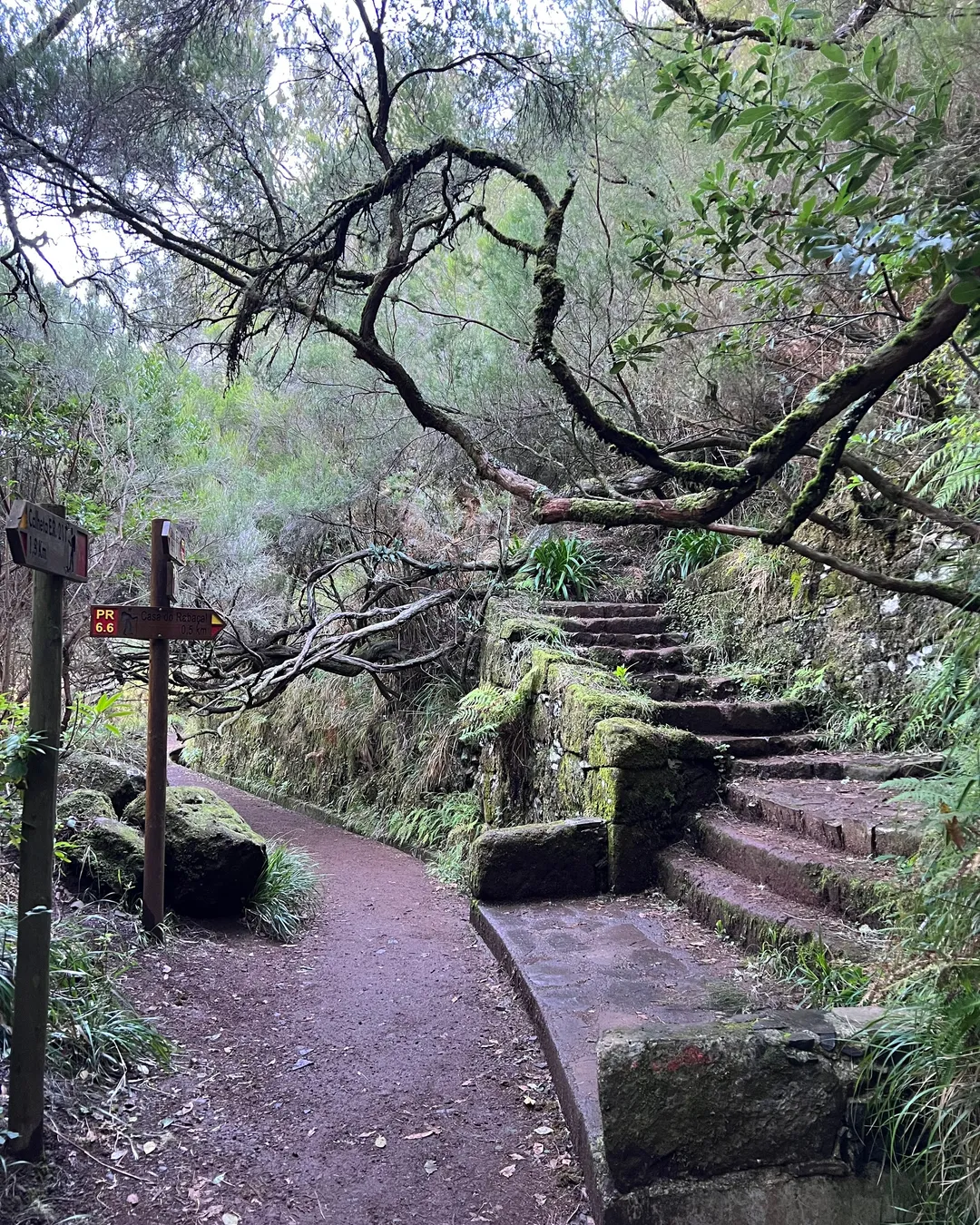 PR6 Levada 25 Fontes