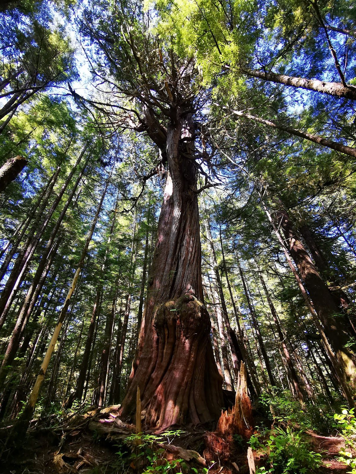 San Josef Bay Campground