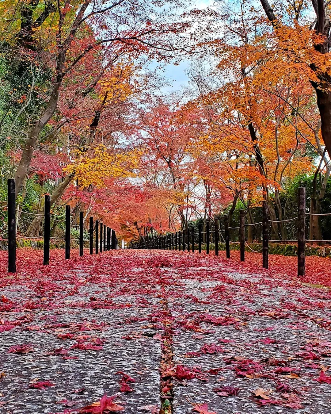 Komyo-ji