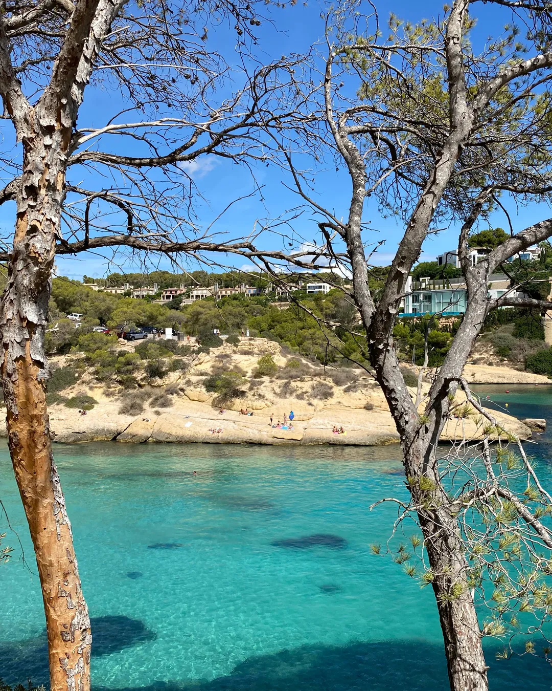 Cala des Mago