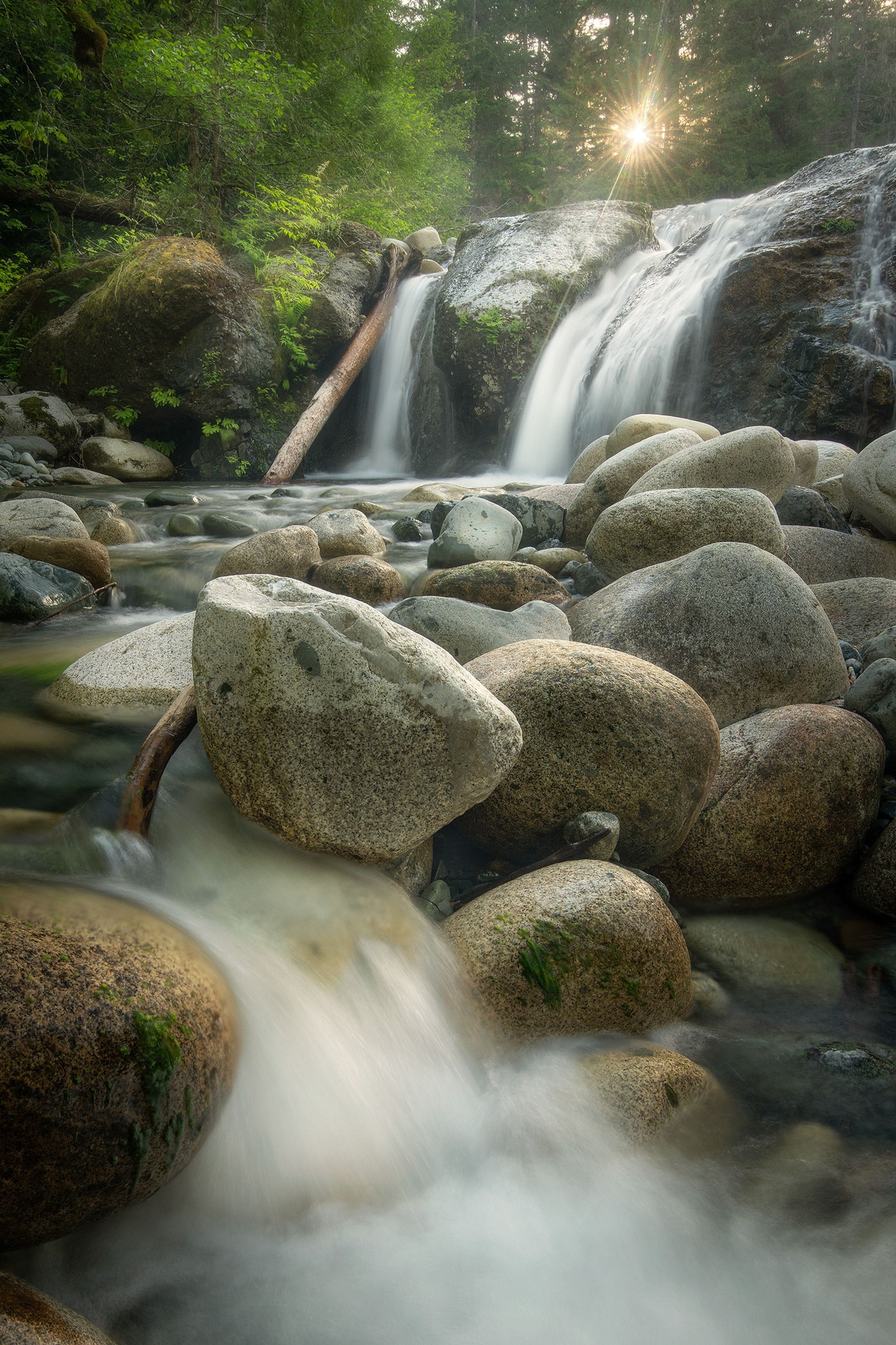 Englishman River Falls
