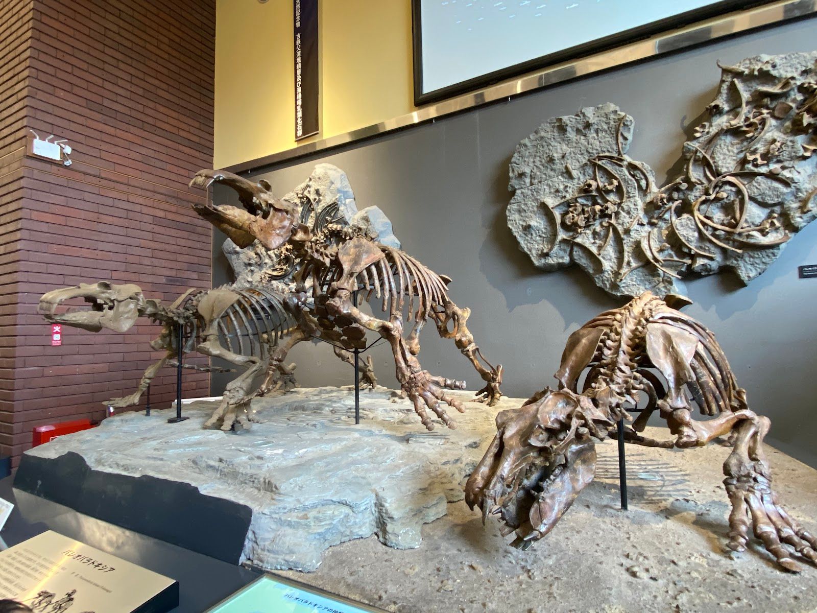Saitama Prefectural Museum of Nature