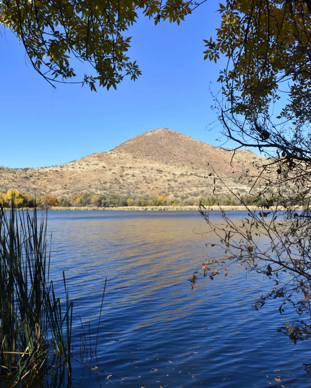 Patagonia Lake State Park