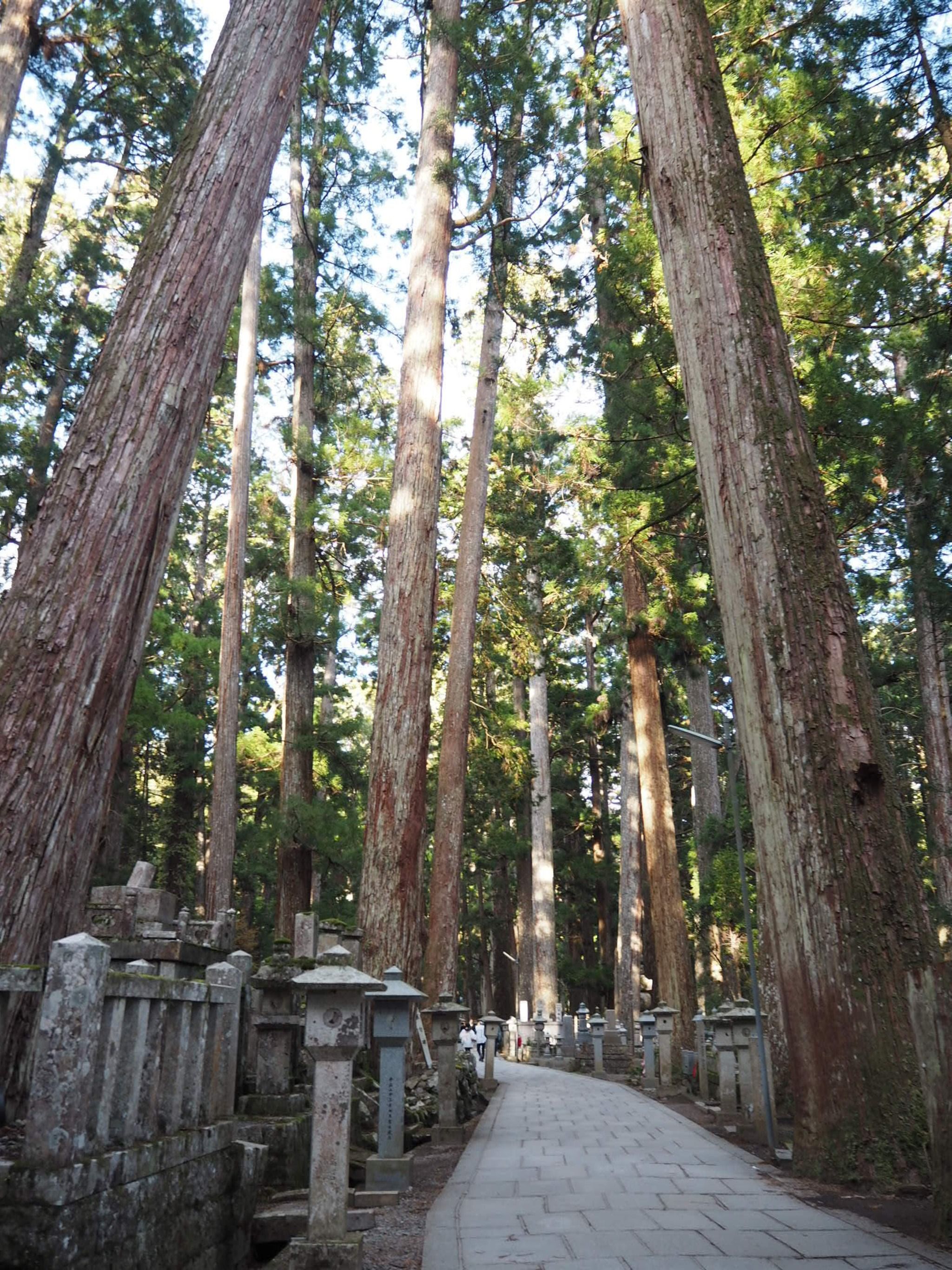 Mizumoto Park - Japan - Rexby