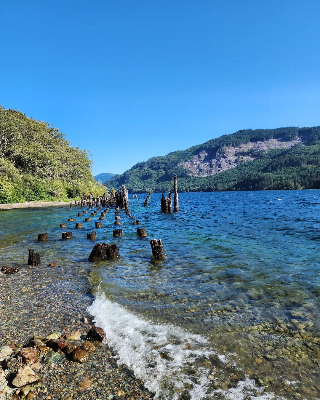 Little Shaw Campsite